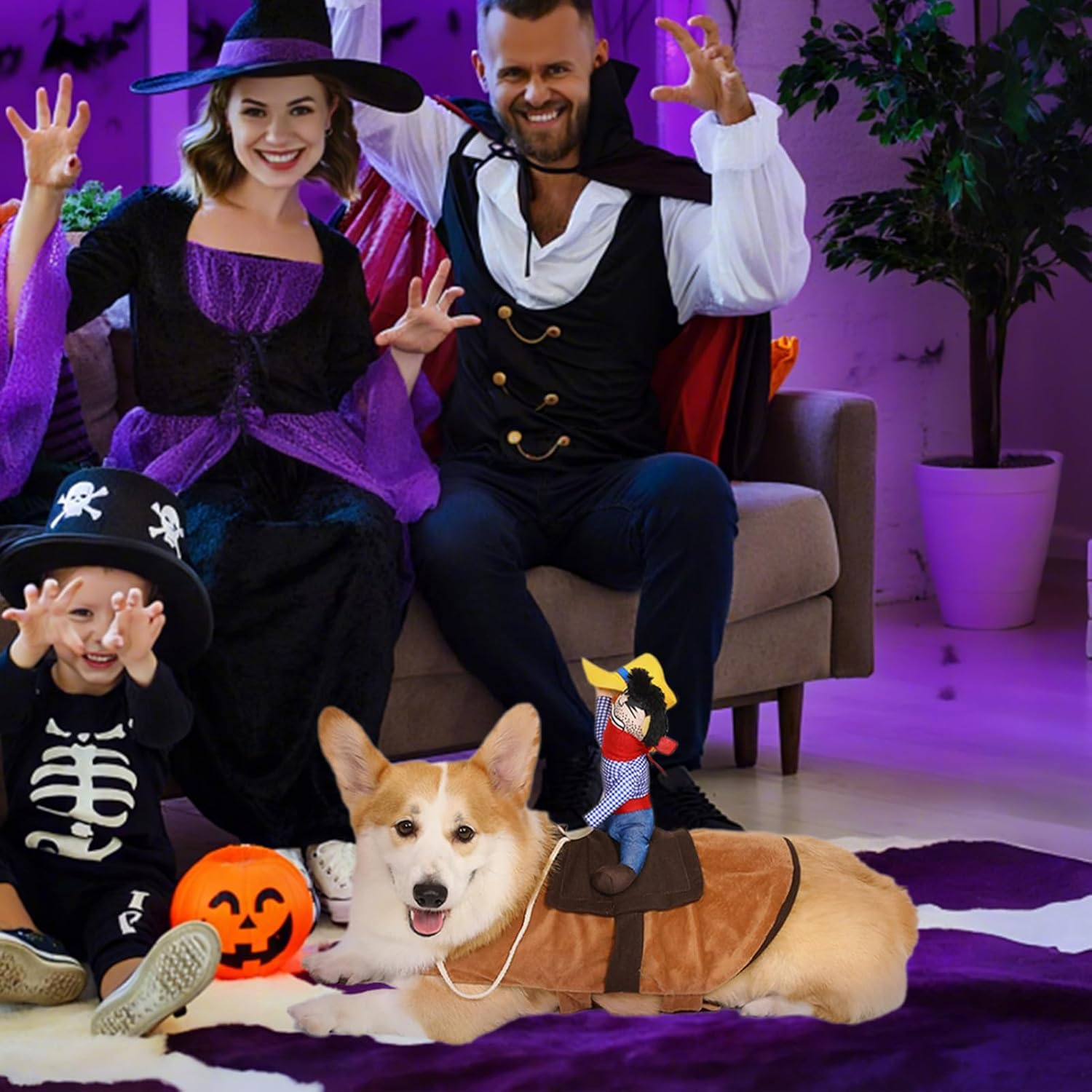 T2Y Cowboy Rider Dog Costume - Halloween Dog Costumes for Medium Dogs, Dogs Clothes Knight Style with Doll and Hat for Halloween Day, Suitable for Corgi, Pug, Frenchie, Dachshund【M】 image number 4