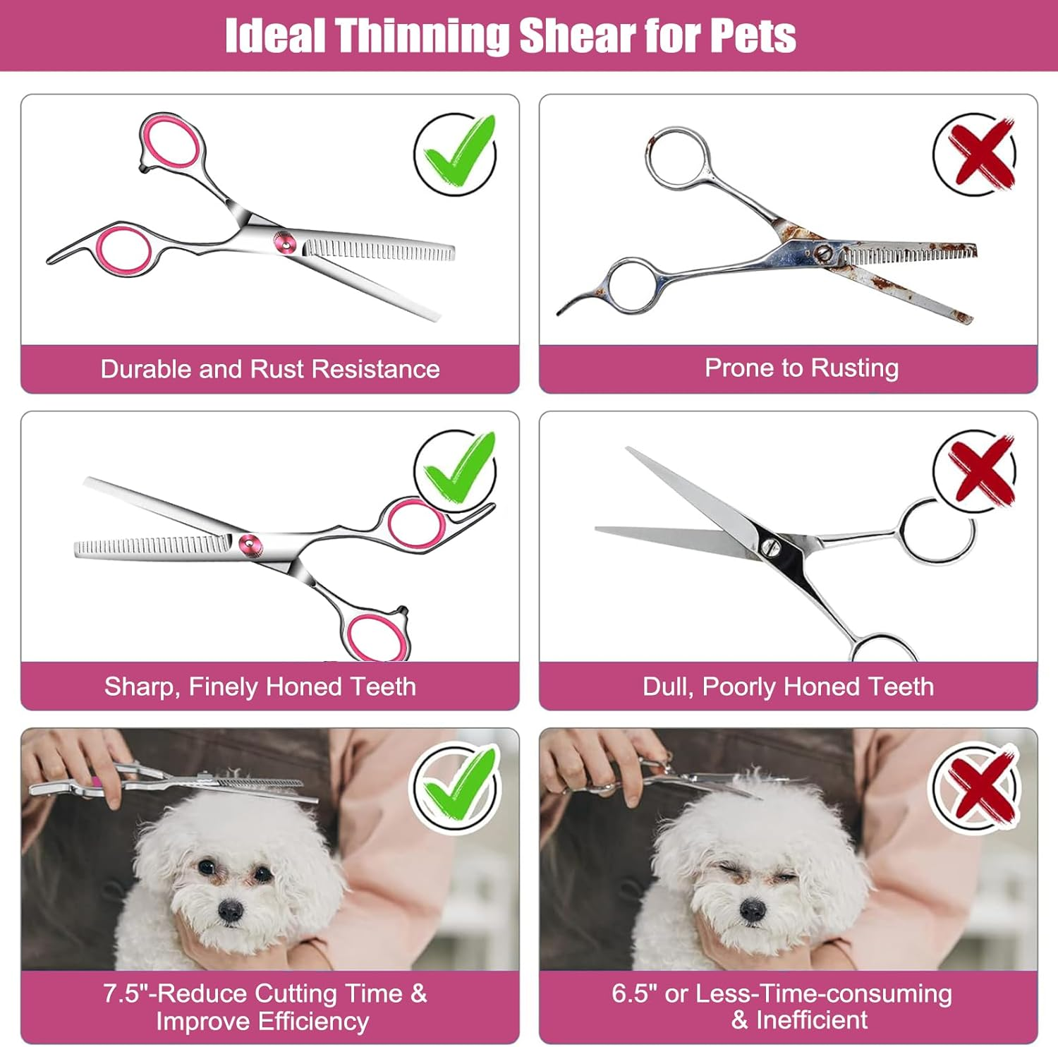 Professional 6 Inch Stainless Steel Pet Grooming Scissors for Dogs and Cats - Curved and Paw Scissors (B) image number 5