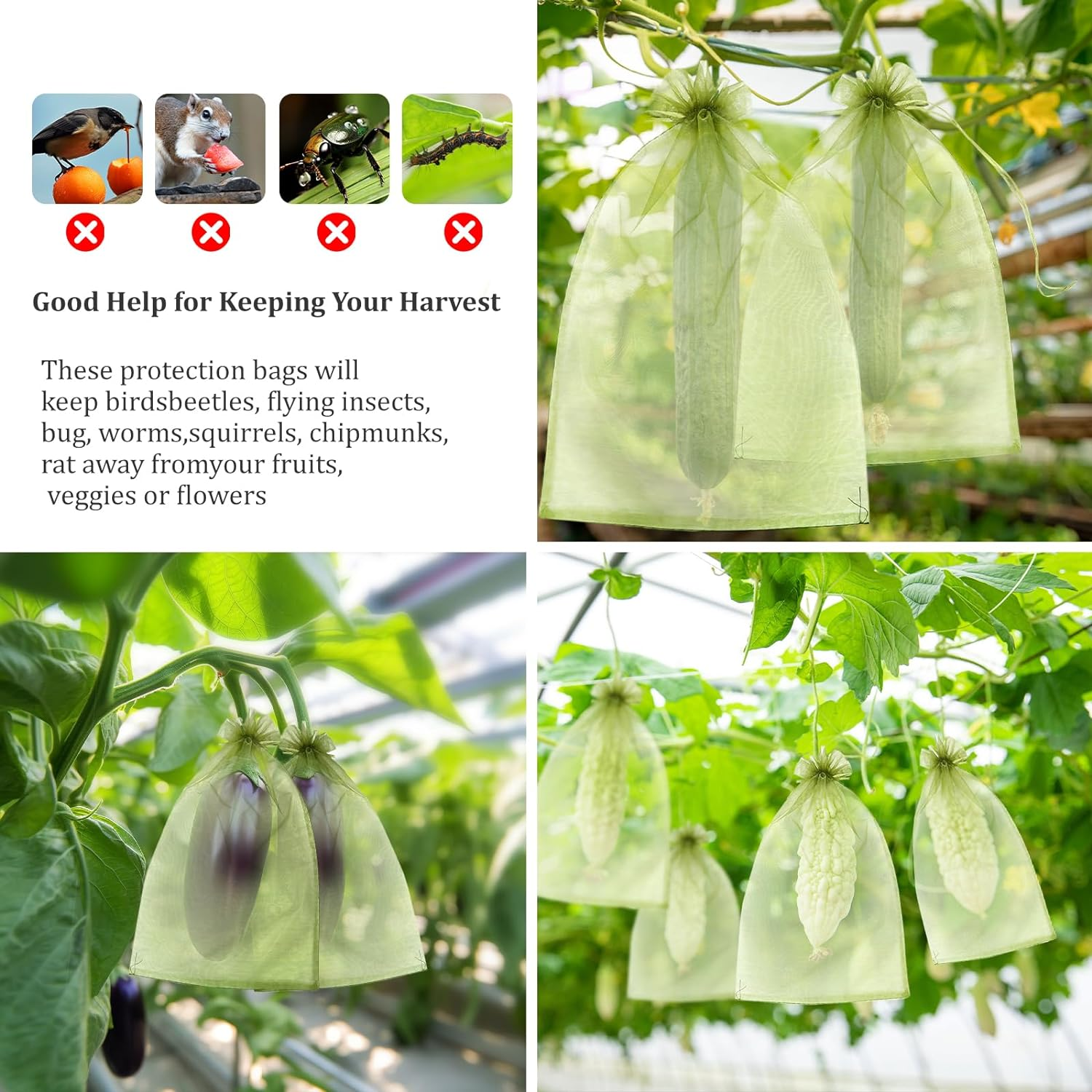 50 PCS 8X12 Inches Fruit Protection Bags, Fruit Bags for Fruit Trees, Green Netting Fruit Cover Bags Drawstring Mesh Fruit Protectors Pest Barrier for Fruit Trees Veggies Garden image number 2