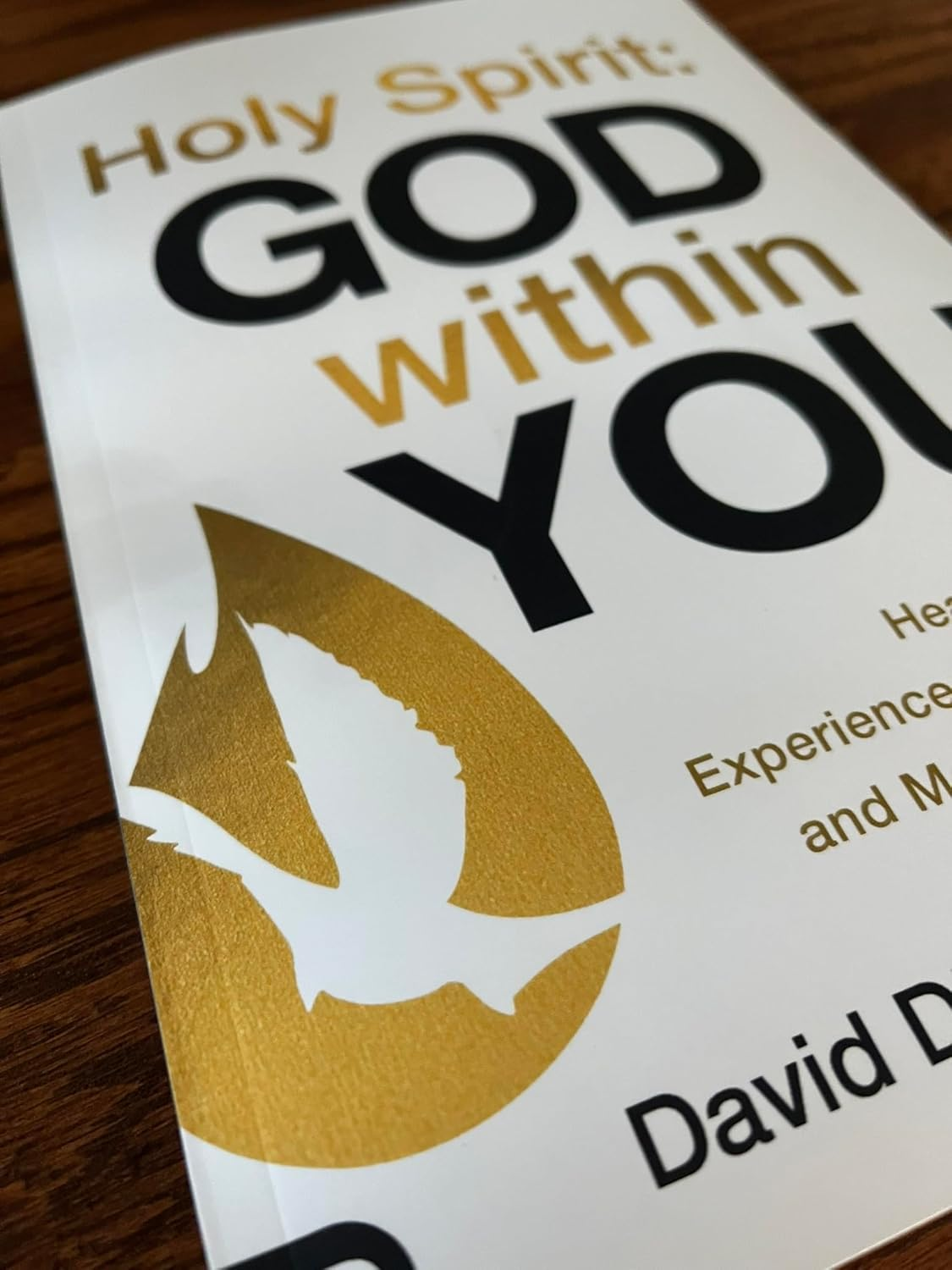 Holy Spirit: God within You: Hear His Voice,Experience His Presence,And Move in His Power image number 4