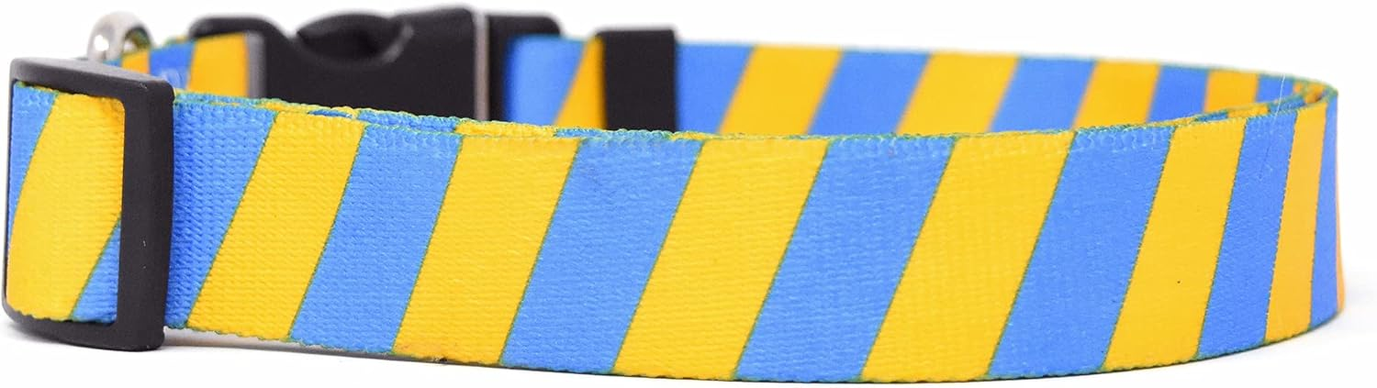 Yellow Dog Design Team Spirit Gold and Blue Roman Style H Dog Harness-Large-1" and Fits Chest 20 to 28"