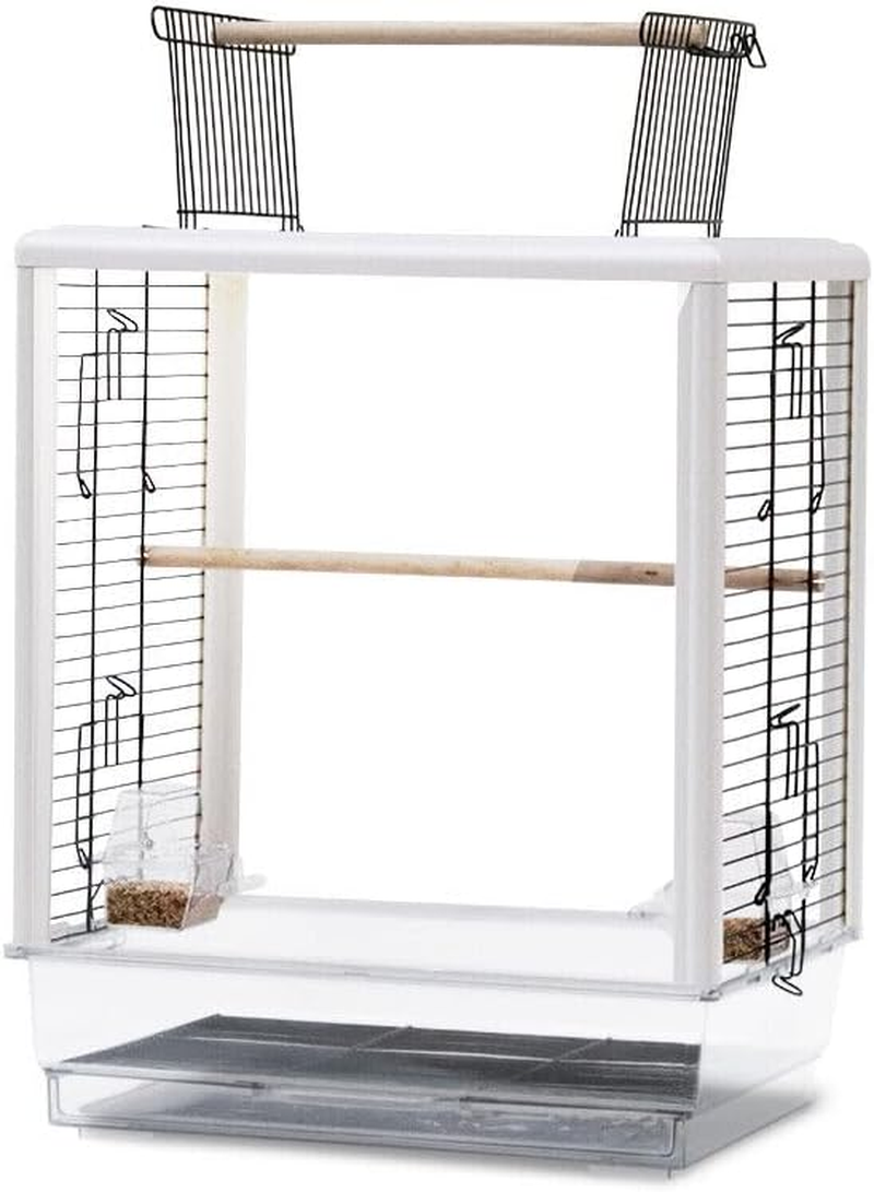 GROZY Acrylic Clear Bird Cage Parrot Cockatiel Aviary Pet Budgie Front Back Panel 58Cm