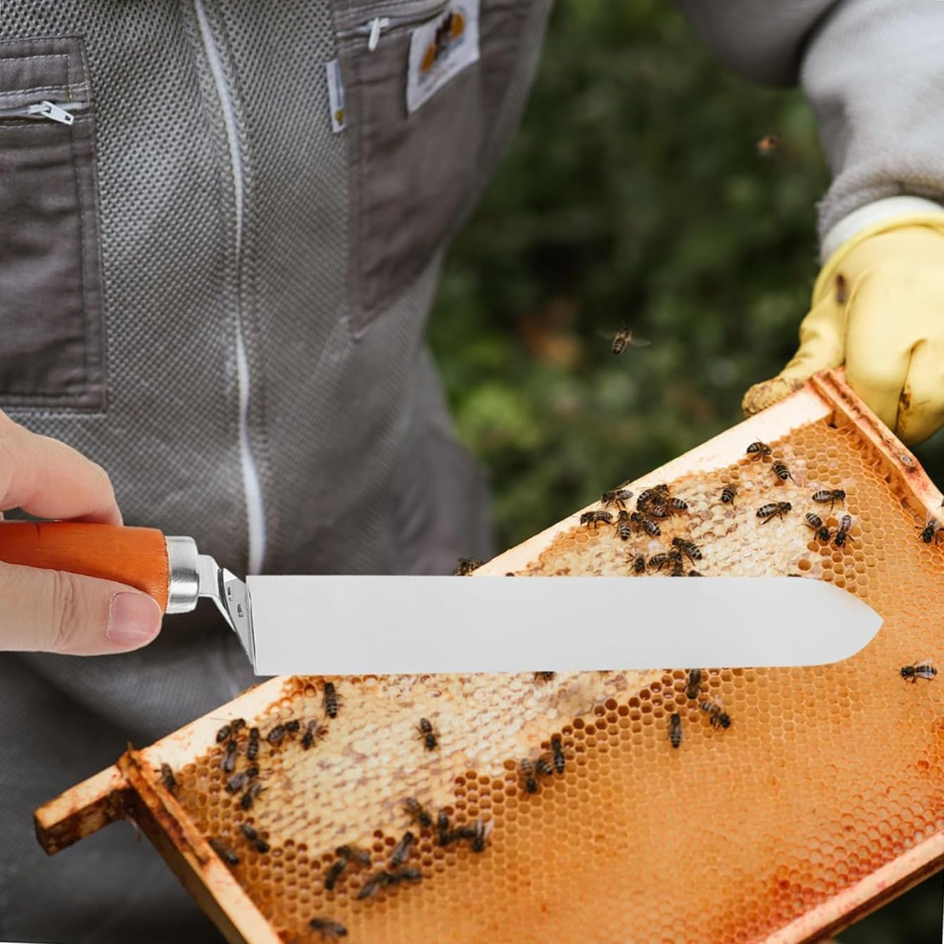 Professional Stainless Steel Uncapping Knife with Comfortable Wooden Handle, Efficient Beekeeping Tool for Easy Honey Harvest & Hive Frame Scraping image number 5