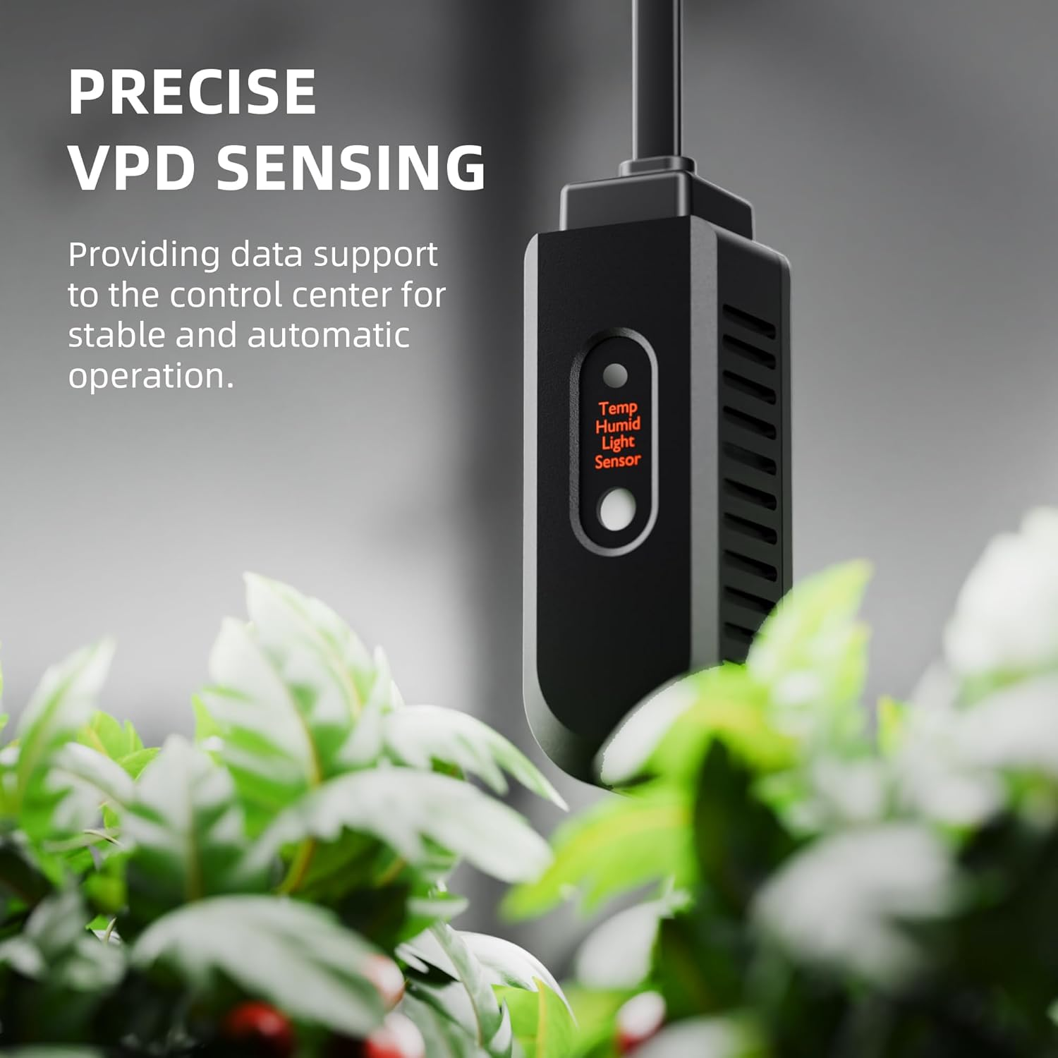 SPIDER FARMER Grow Tent Dehumidifier with Pump and Humidity Control, Ultra-Quiet Auto Dehumidifier Equipped with Smart Control, Led Digital Display, 24-Hour Timer for Grow Tent, Grow Space image number 6