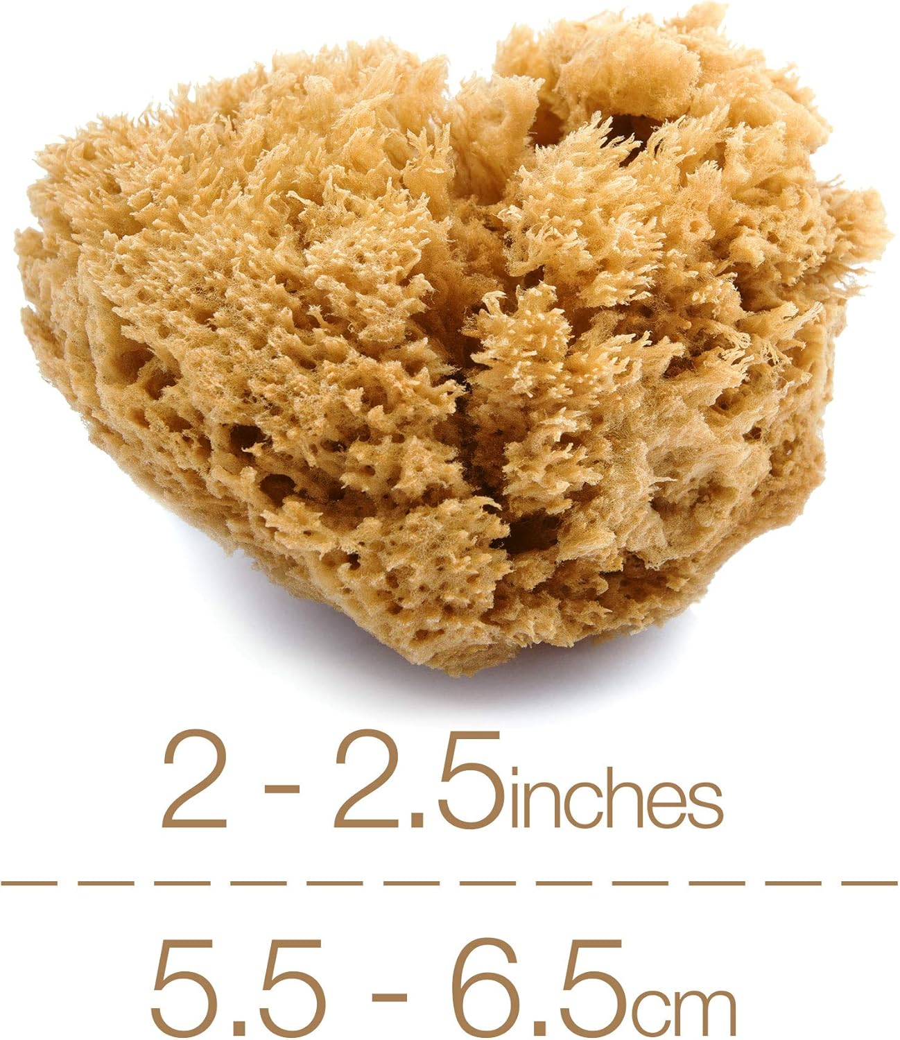 Intimatecare Sea Sponges. Mediterranean Sea Sponges in Plastic Free Packaging. Absolute Quality (Natural Brown, 3X 5.5-6.5Cm / 2-2.5In") image number 4