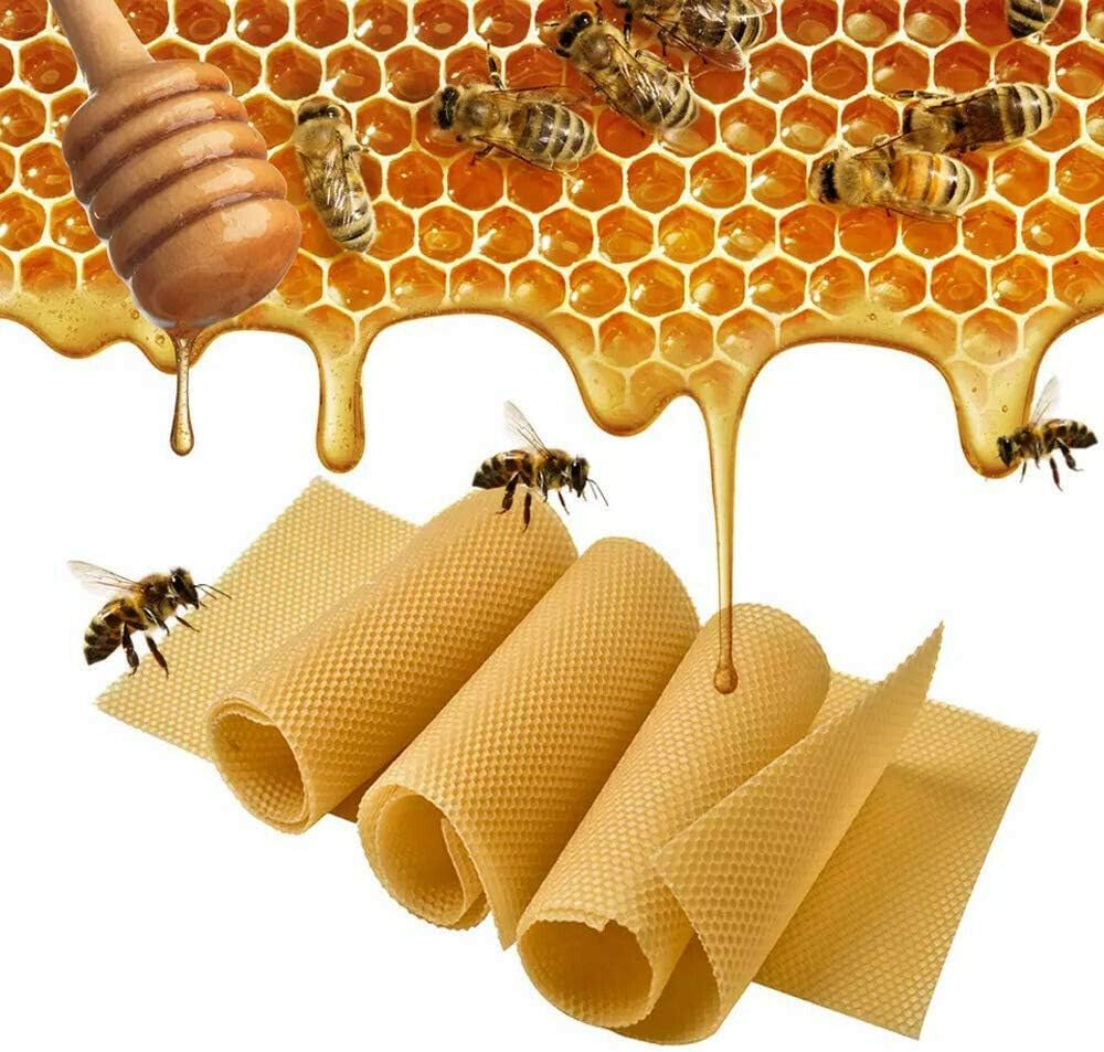 Wax Frames Beekeeping Honey Bee Hive Equipment 30PCS image number 2