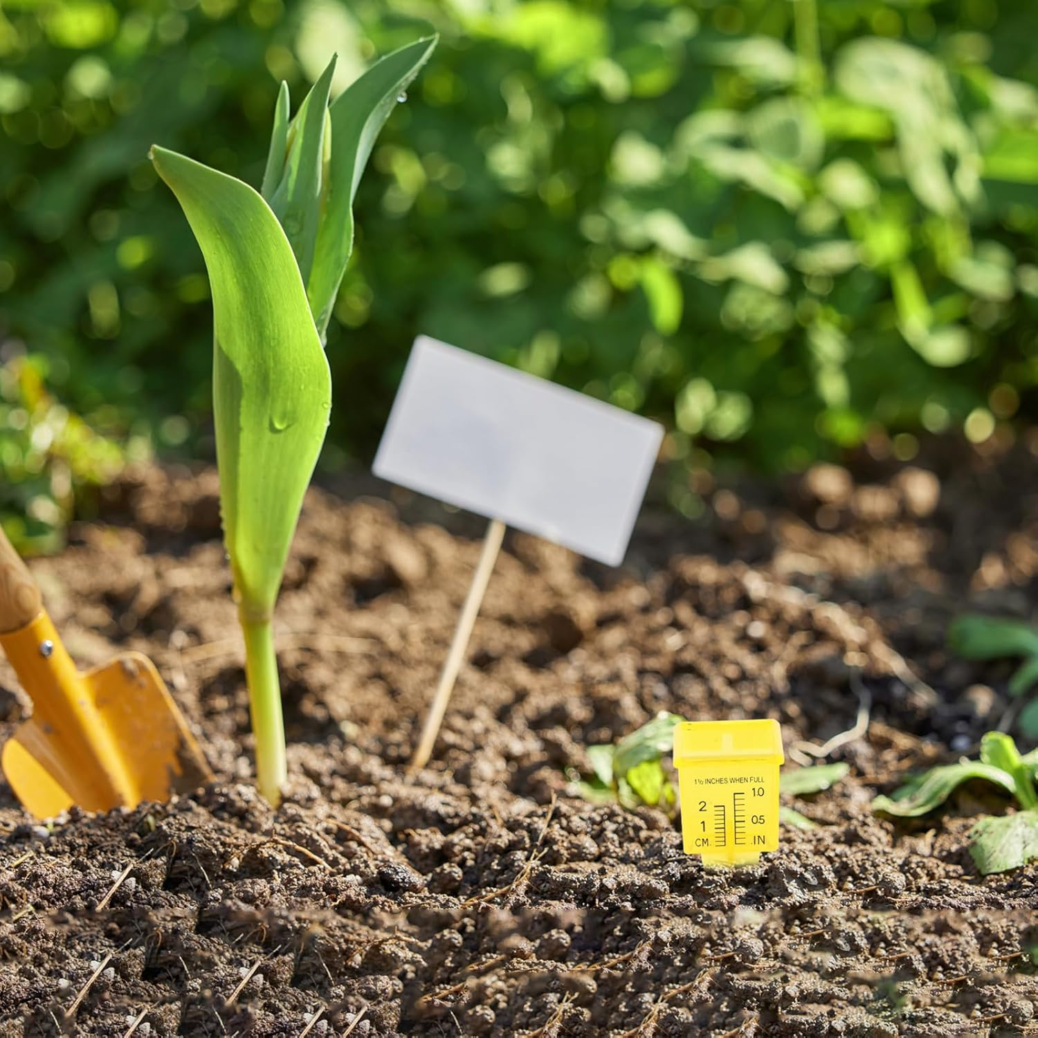 15Pcs Rain Water Gauge: Rainfall Measuring Device for Lawn Garden 1.5-Inch Rain Gauge Sprinkler Measure Meter for Outdoor Garden