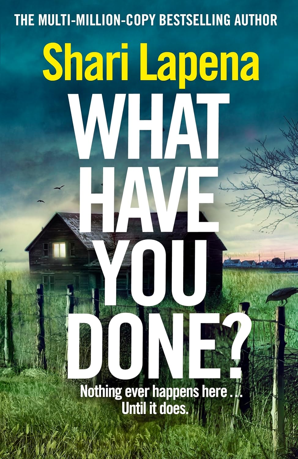 What Have You Done?: the Addictive and Haunting New Thriller from the Richard & Judy Bestselling Author image number 1