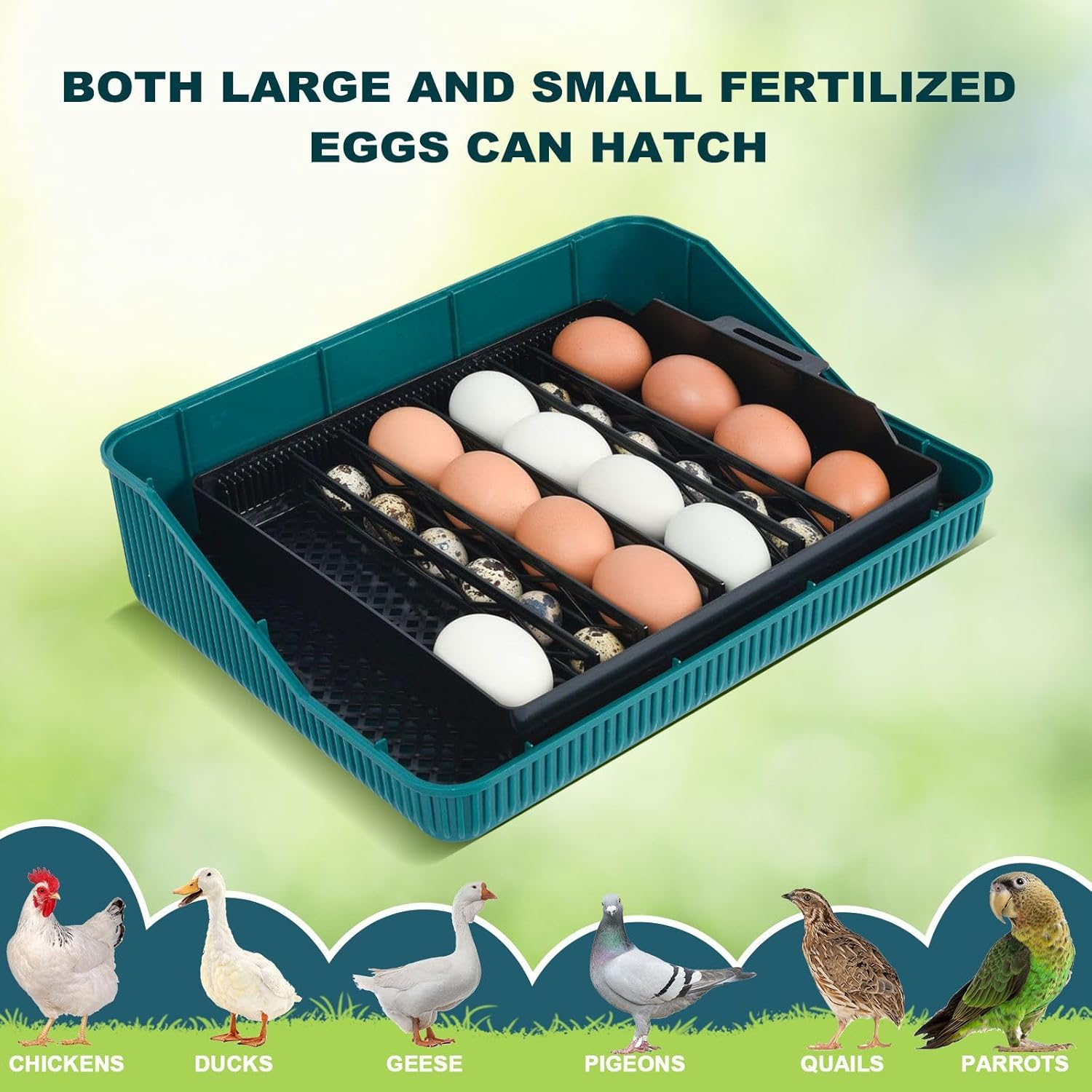 Pet Scene 25 Egg Incubator Auto for Hatching Chicks with Automatic Egg Turner Pro, Humidity Display, Egg Candler, Egg Incubator for Chicken, Duck image number 1