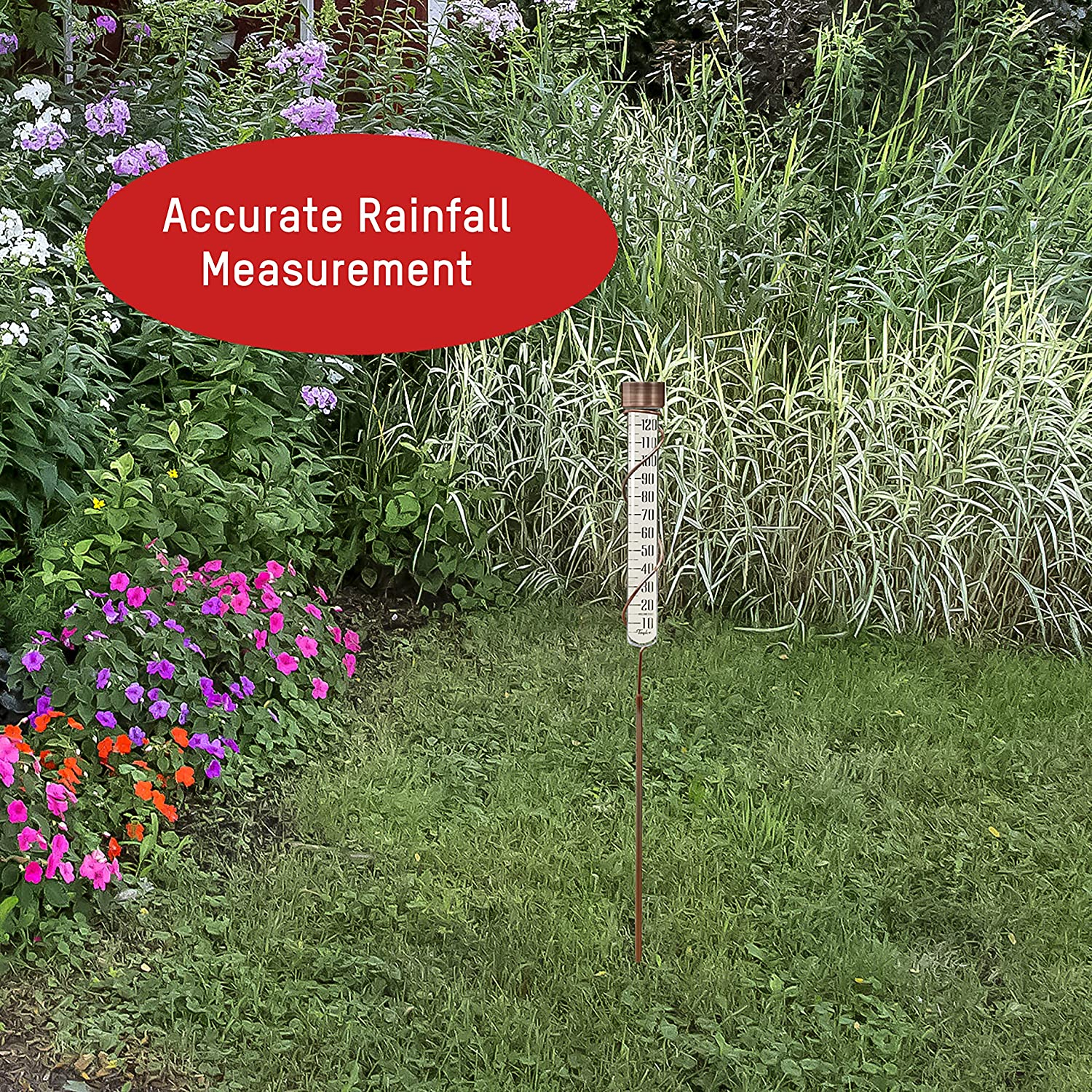 Taylor Precision Products Heritage 27" Tall Glass Rain Gauge, 5" Capacity, Copper image number 3