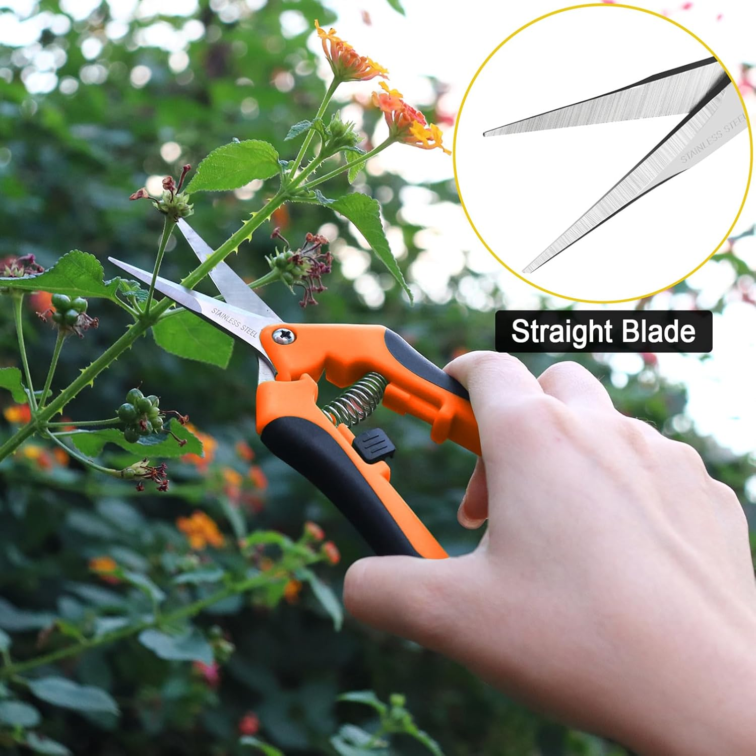 Wevove Pruning Shears, Garden Shears,6.5 Inch Gardening Scissors Hand Pruner with Straight Precision Stainless Steel Blades 1Pack(Orange) image number 6