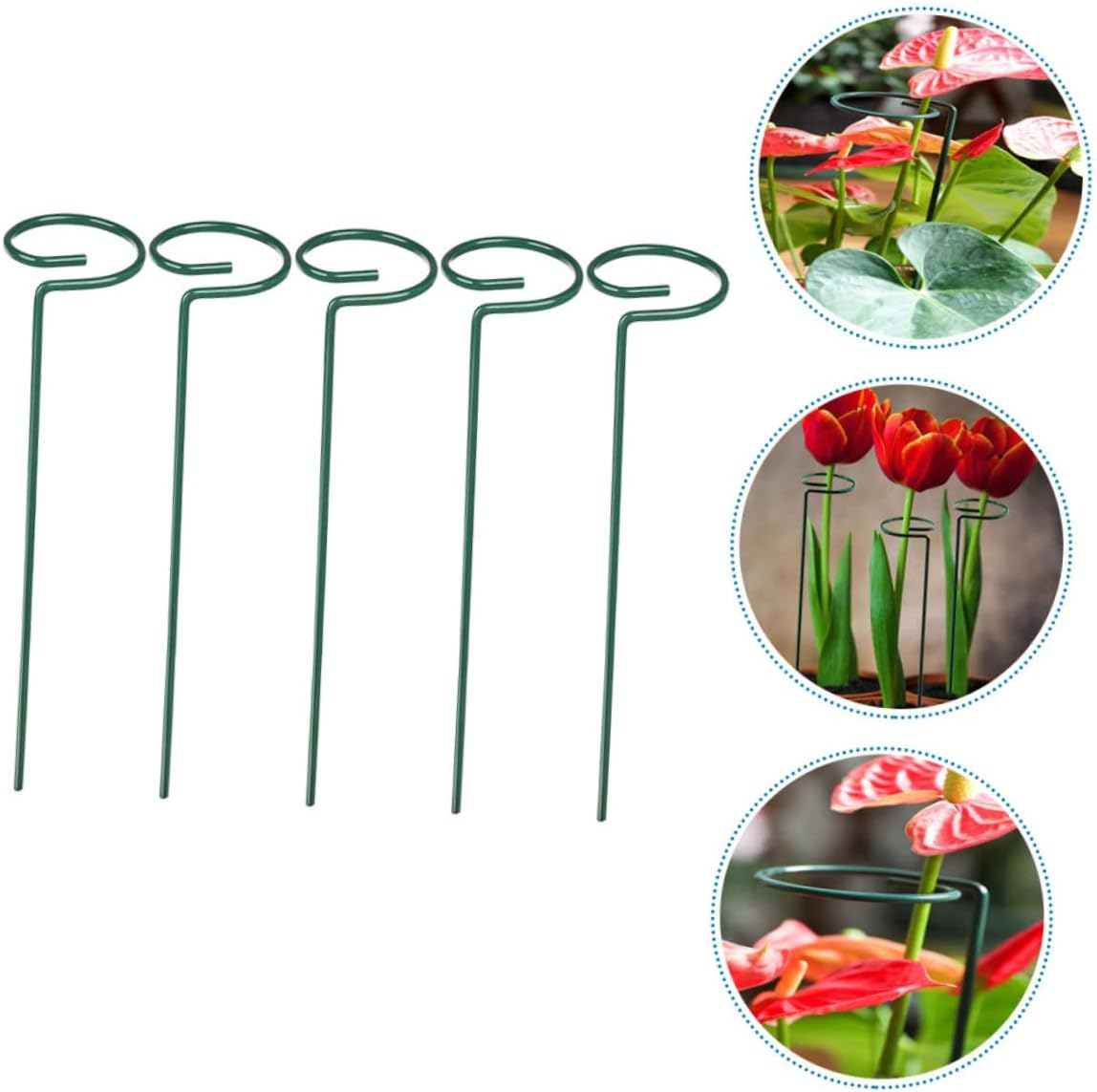 Parliky 2Sets Gardening Plant Stakes Flower Supports Stakes for Climbing Vines 5Pcs*2 image number 5