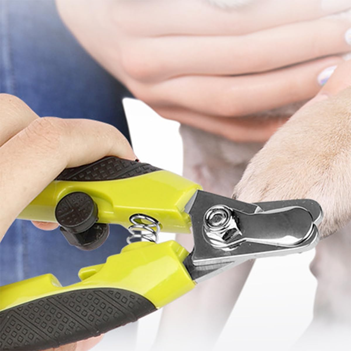 Sarini Professional Claw Scissors for Dogs, Claw Cats, Large and Medium Pets Claw Grinder with Protective Guard, Safety Lock and Nail File