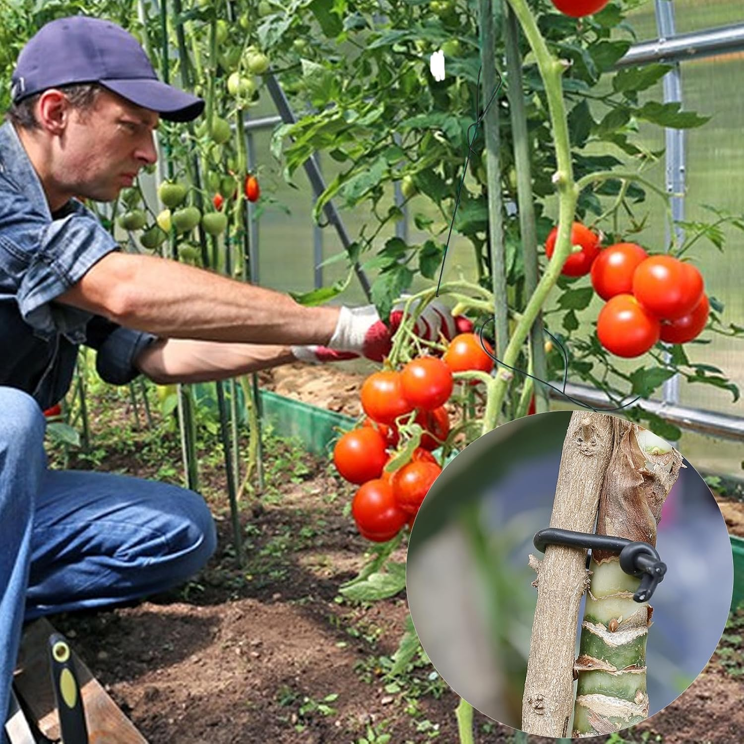 101 Feet Black Plant Twist Ties, Soft Plant Ties for Vine Support, 3Mm TPR Flexible Garden Tie for Plants Gardening Office Home Use image number 7