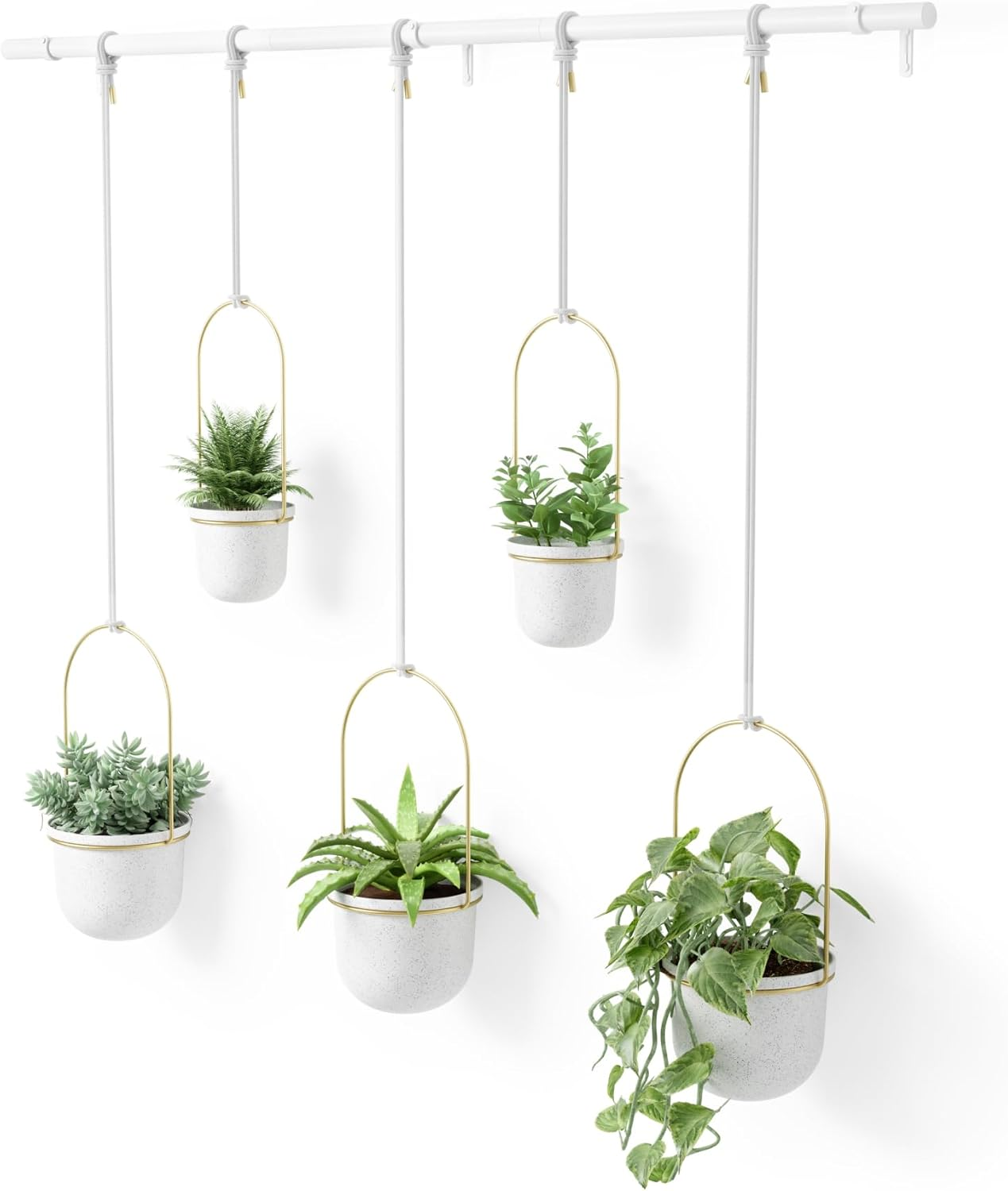 Umbra Triflora Hanging Planter 5-Pieces, Large, White/Brass