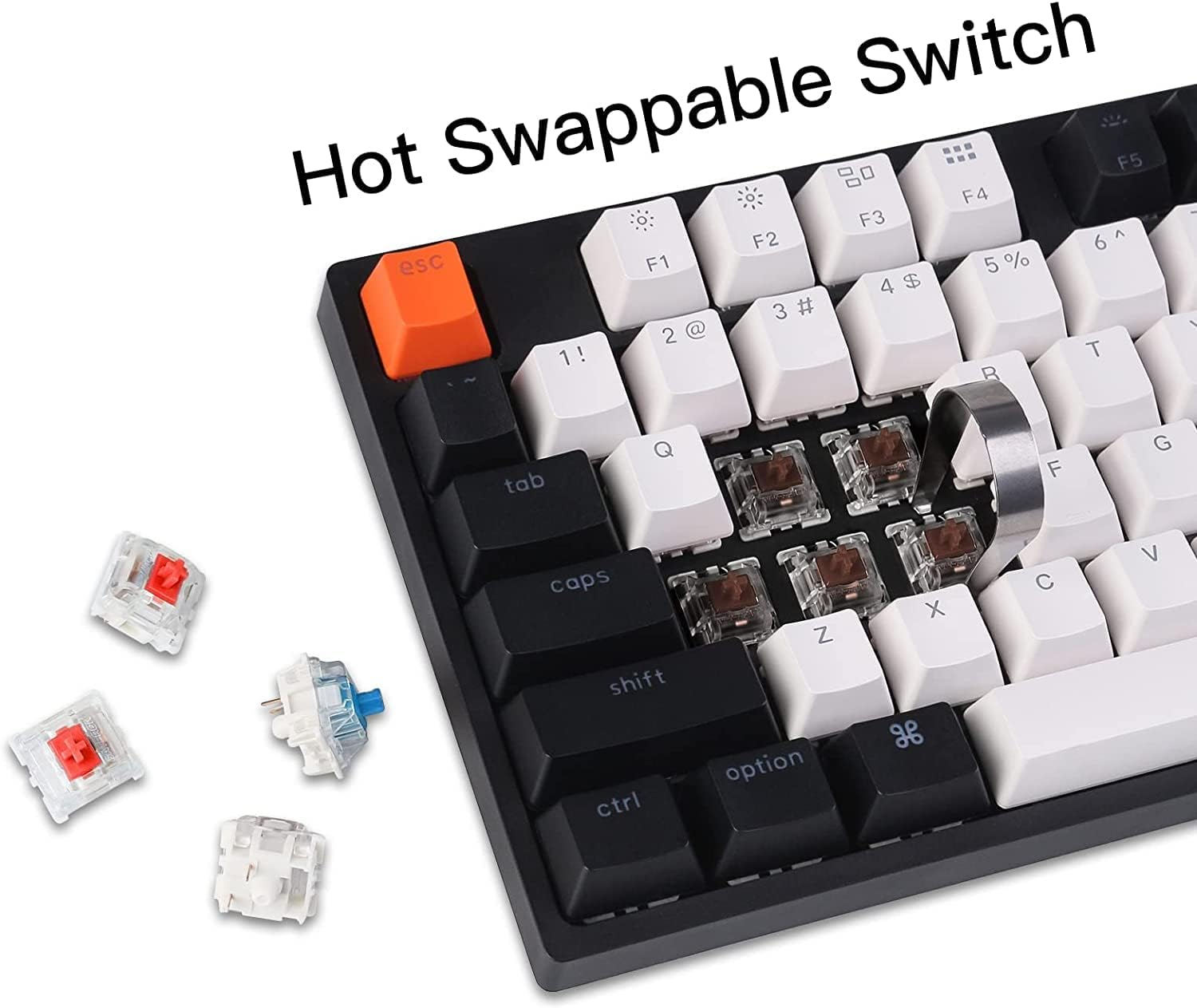 Keychron C2 USB Wired Keyboard Hot-Swappable Gateron RGB Backlit 104 Keys Mechanical Keyboard - Brown Switch (KBKCC2H3BROWN) image number 6