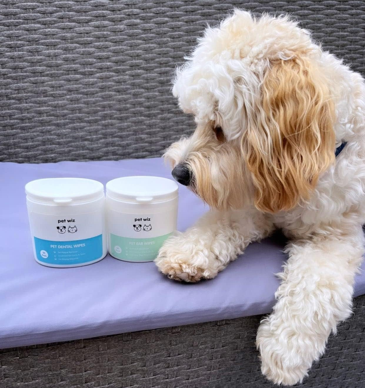 Pet Wiz Ear Wipes for Dogs & Cats. Clean, Soothe & Deodorise with Natural Active Ingredients Aloe Vera, Witch Hazel, Tea Tree Oil and Blue Chamomile Extract. image number 1