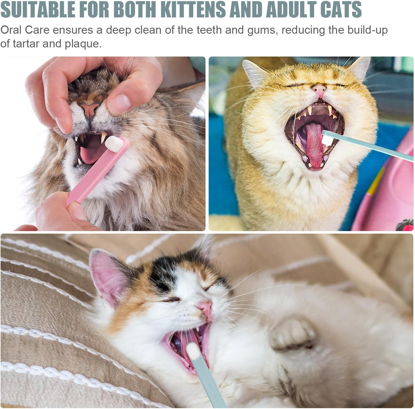 NQEUEPN 4Pcs Toothbrushes for Pets, Dual Sided Cats & Dogs Toothbrushes with 4 Toothbrush Protection Tube Soft Kitten Teeth Cleaning Brush, Reduces Bad Breath & Keeps Dental Healthy image number 2