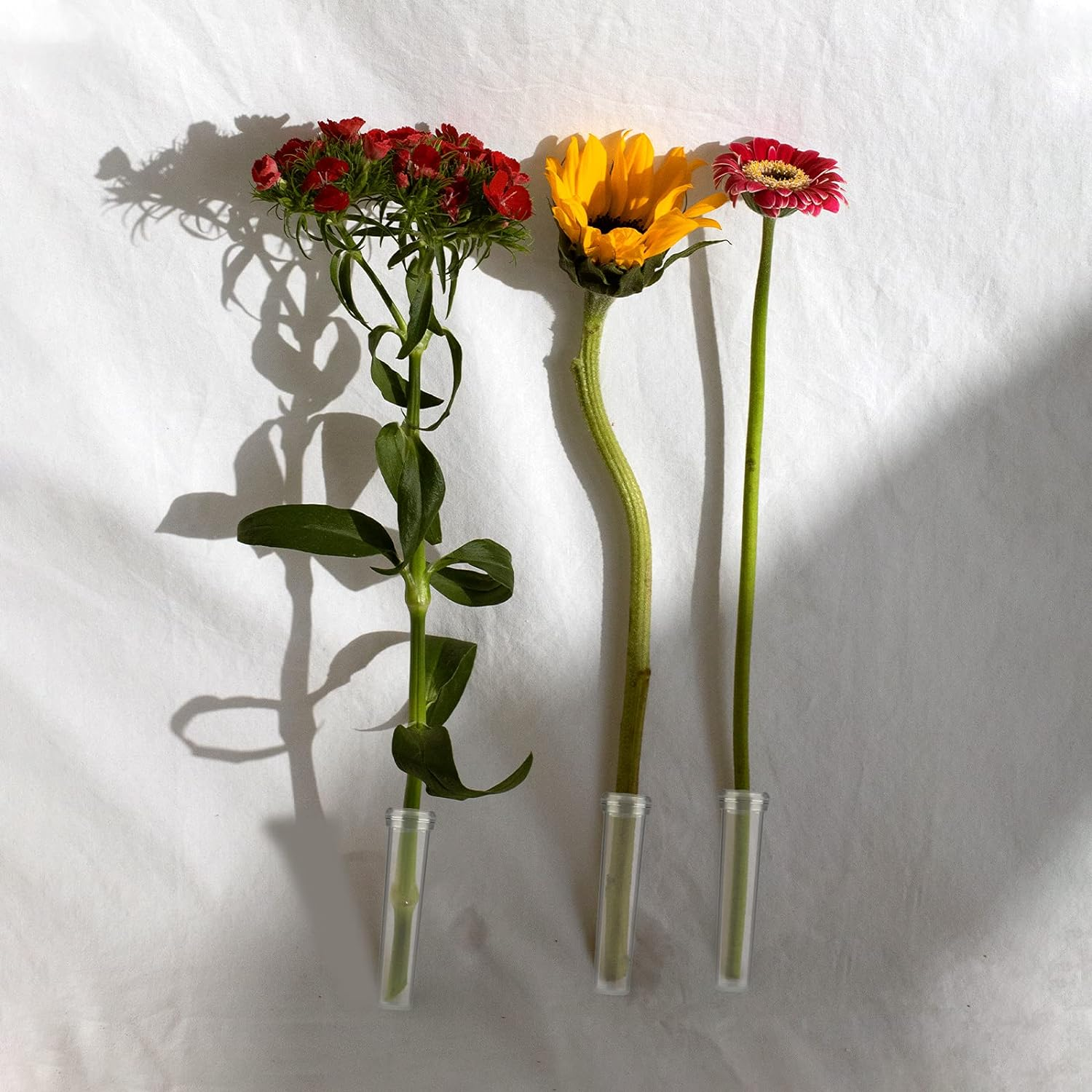 AIEX 48Pcs Floral Water Tubes Reusable Plastic Flower Tubes with Silicone Cap for Flowers Plants 7.2X1.8Cm/2.8X0.7Inch(White Clear) image number 4