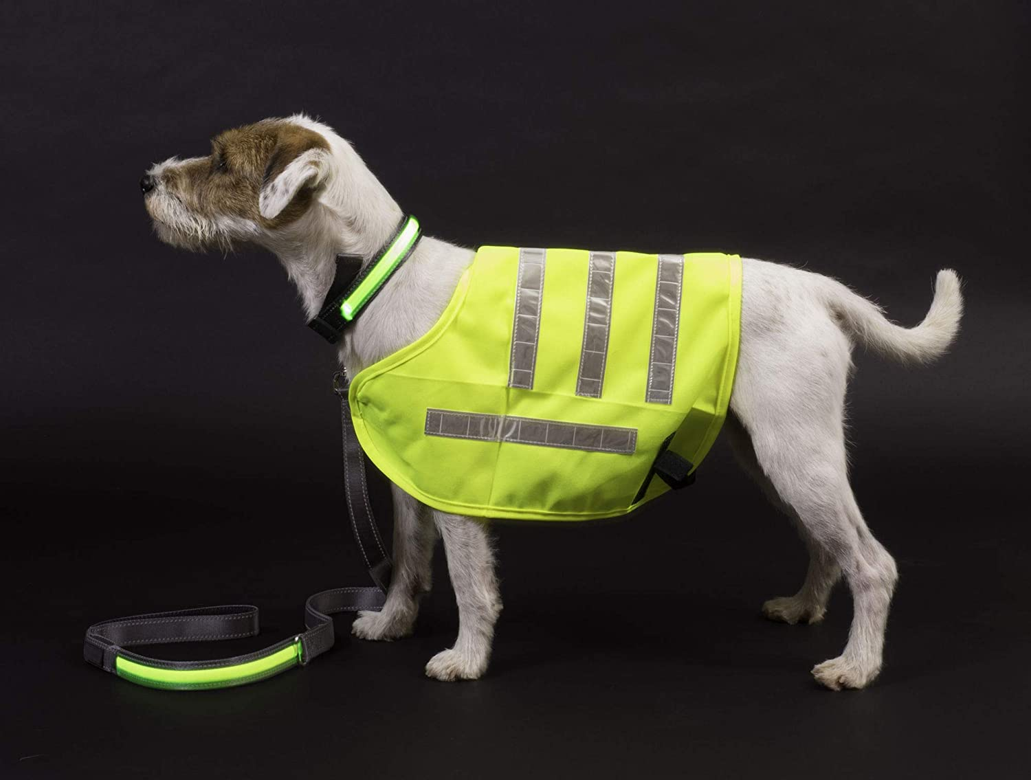 Petface Outdoor Paws Flashing Reflective Dog Lead image number 6