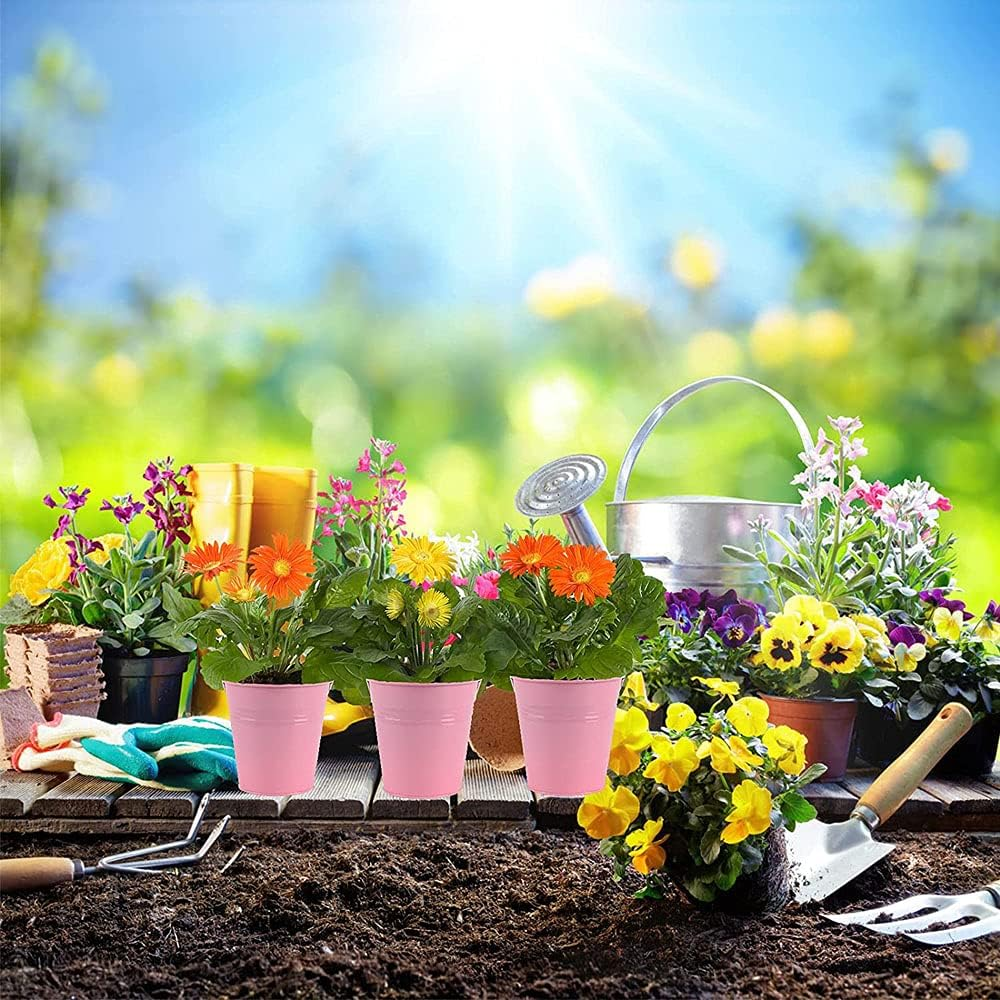 Small Metal Bucket Flower Pot, Mini Bucket Metal for Candy, Pack of 12 Mini Metal Flower Pot, Mini Table Decoration Bucket, Colourful, Metal Bucket with Hanging, Wedding Party Favour Supplies image number 3