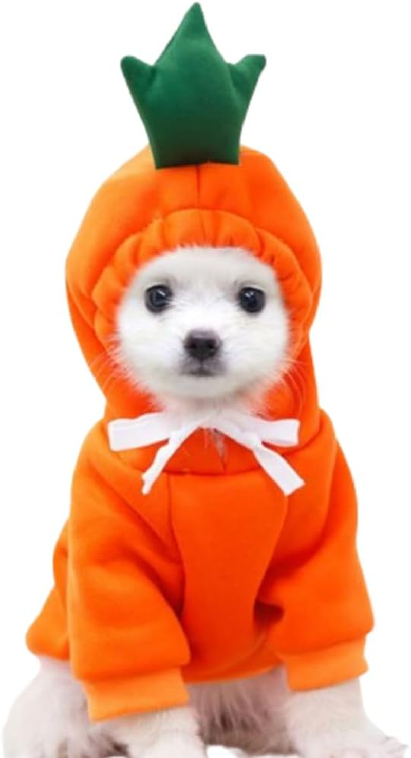 ANIAC Fleece Dog Hoodies with D-Ring Autumn Winter Puppy Clothes for Small Dogs Bumblebee Cat Apparel Cold Weather Coat Funny Dog Bee Costume for Christmas Halloween (Yellow, X-Small)