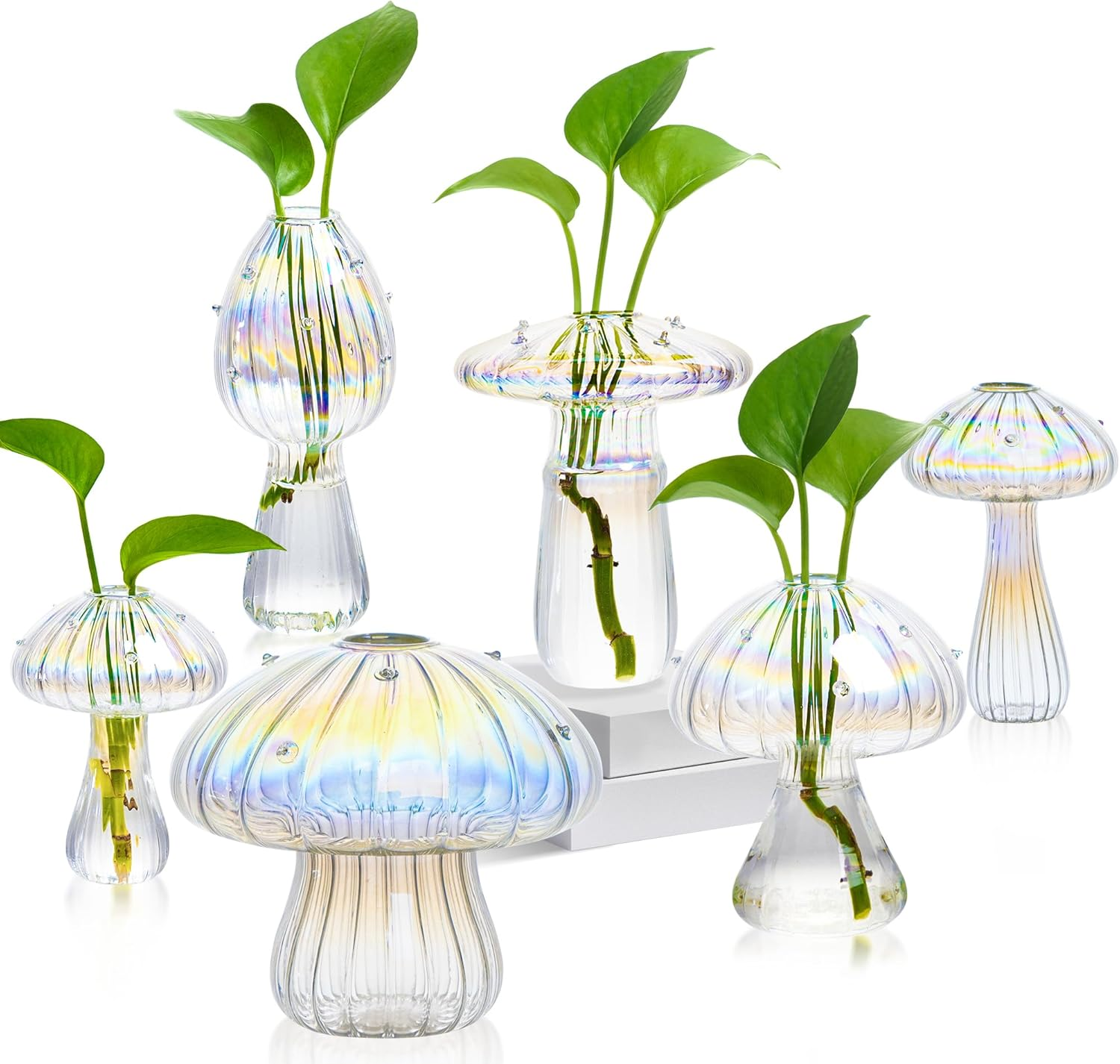 Plant Propagation Station, Set of 6 Colored Mushroom Vase, Propagation Stations, Small Plant Terrarium, Unique Crystal Mushroom Jars for Plants for Hydroponics Home Garden Office Decoration (Colorful)