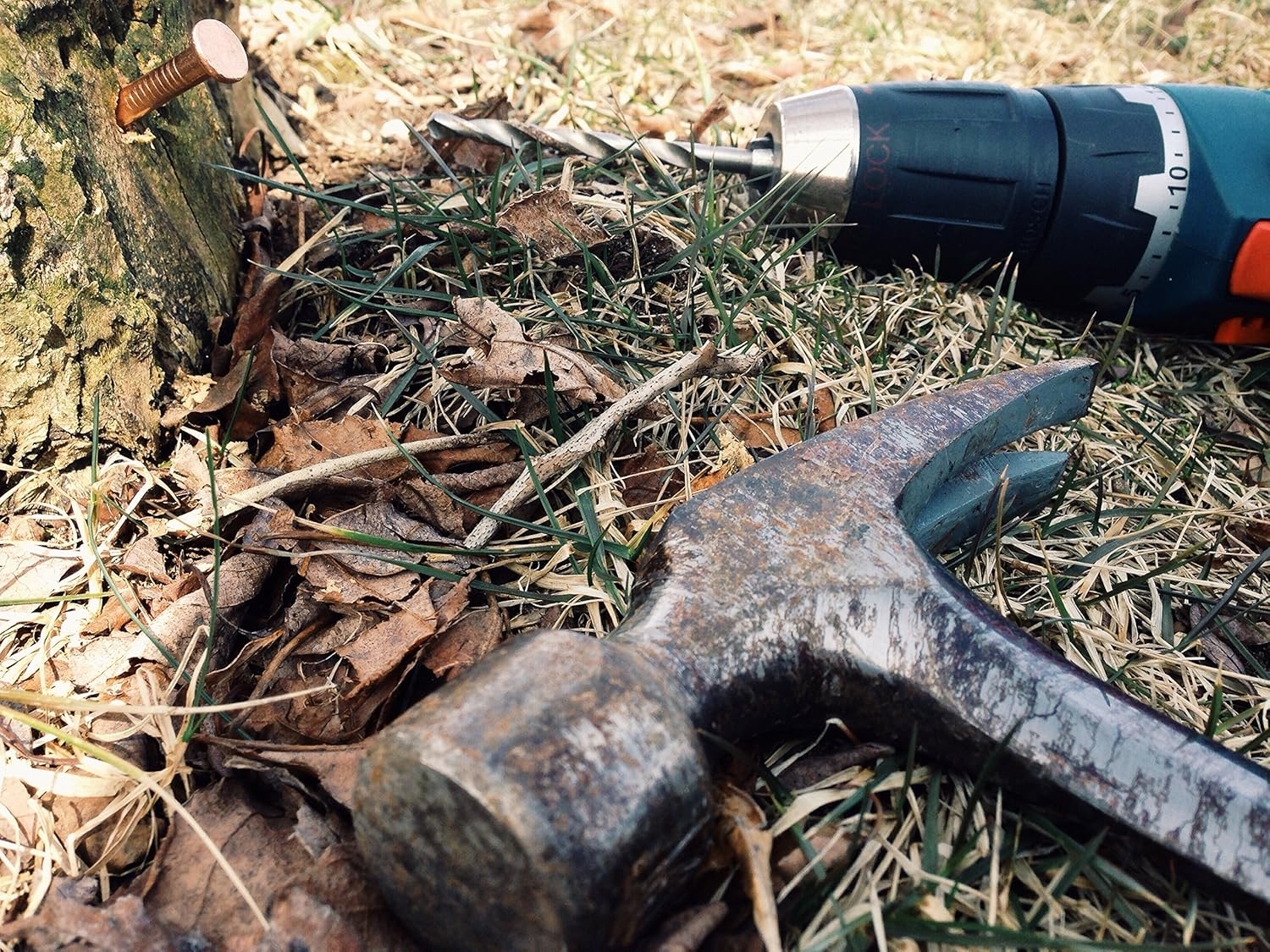 4 Inch Copper Nails for Killing Trees Stumps & Roots - These Killer Spikes Make Tree Removal Easier