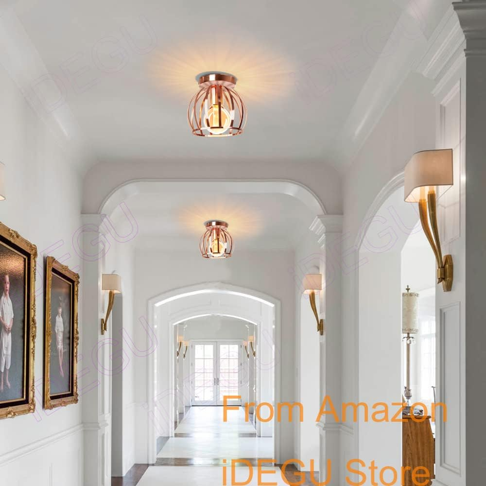 Idegu Vintage Ceiling Light, Industrial Ceiling Lamp, Diameter 20 Cm, Geometric Cage Design Lampshade, Retro Ceiling Light, E27 Lighting for Bedroom, Kitchen, Living Room, Rose Gold