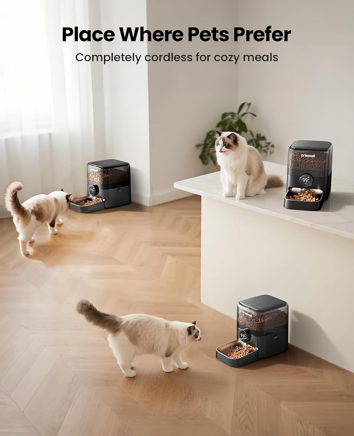 Oneisall Automatic Cat Food Dispenser, Automatic Cat Bowl 3L Stainless Steel Bowl, 1-6 Meals/Day Dry Food Dispenser for Cats/Dogs (3L Wifi) image number 4