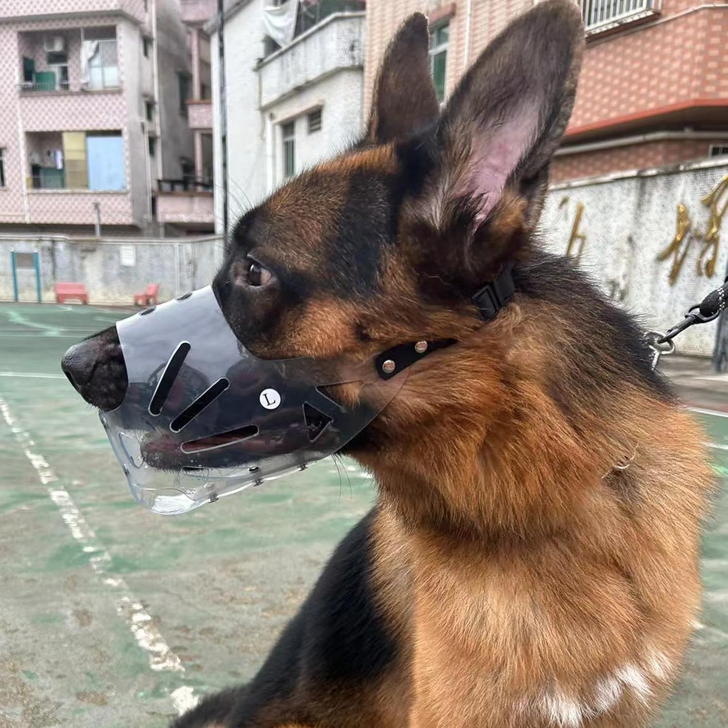 Muzzle for Dogs, Transparent PVC for Large Dogs, Dogs Can Panting, Eating and Drinking, Prevents Biting and Browsing Wild Animals, Comfortable, Breathable (L) image number 4