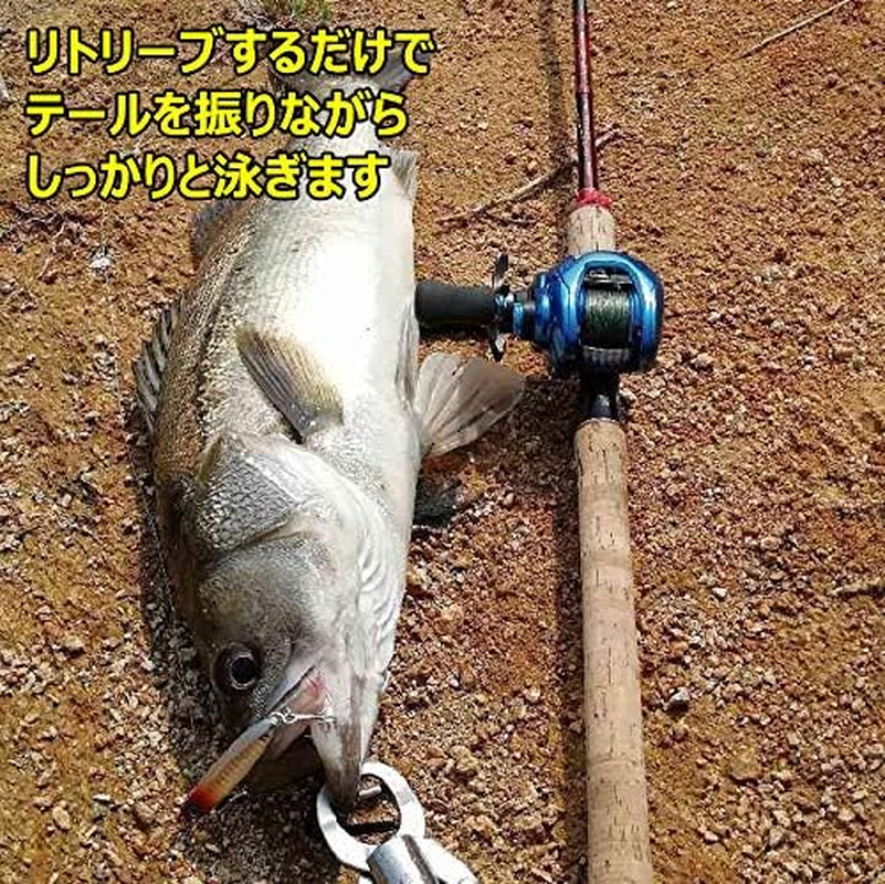 Aoarashi Lure Flounder Lure, Sea Bass, Metal Jig, 0.7 Oz (21 G), 1.1 Oz (32 G), 1.6 Oz (45 G), Set of Rear Center of Gravity, Distance, ST-46 Hook, Iron Plate Lure, Blue, Surf, Hairtail, Root Fish image number 3