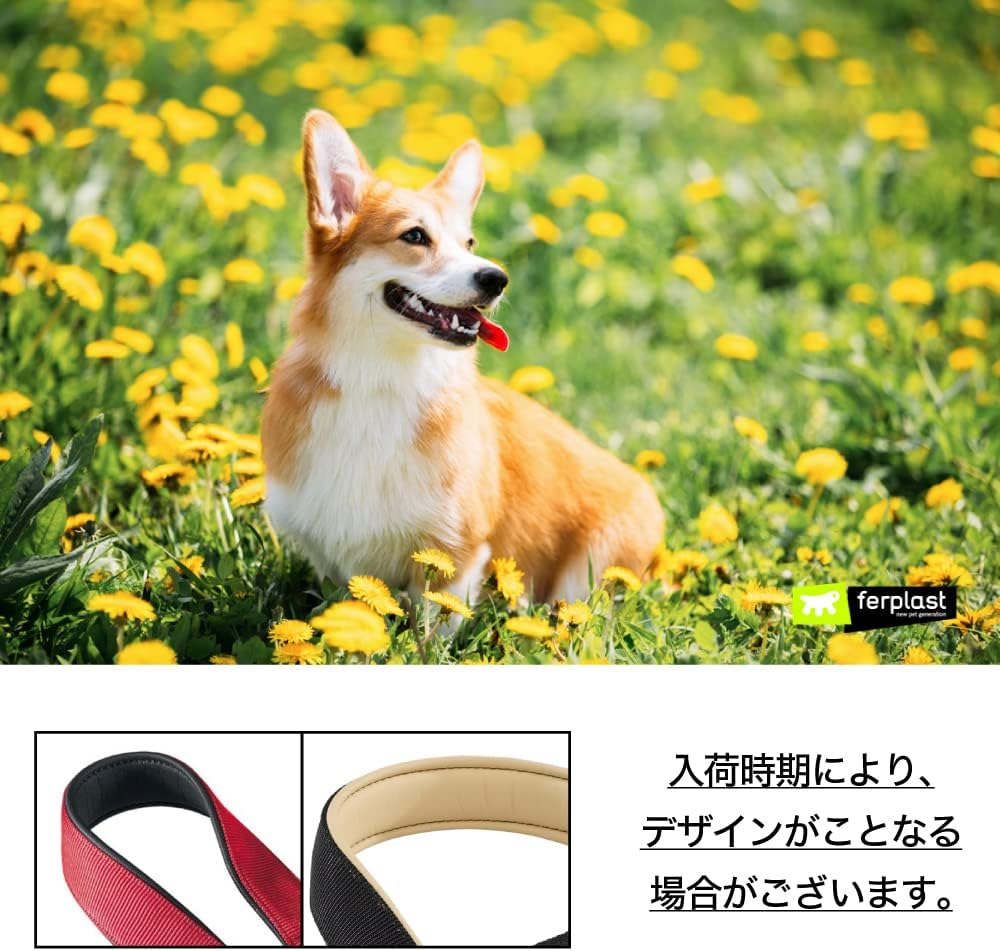 Daytona Daytona C 25/53 Green Dog Collar Neck 45-53Cm image number 1