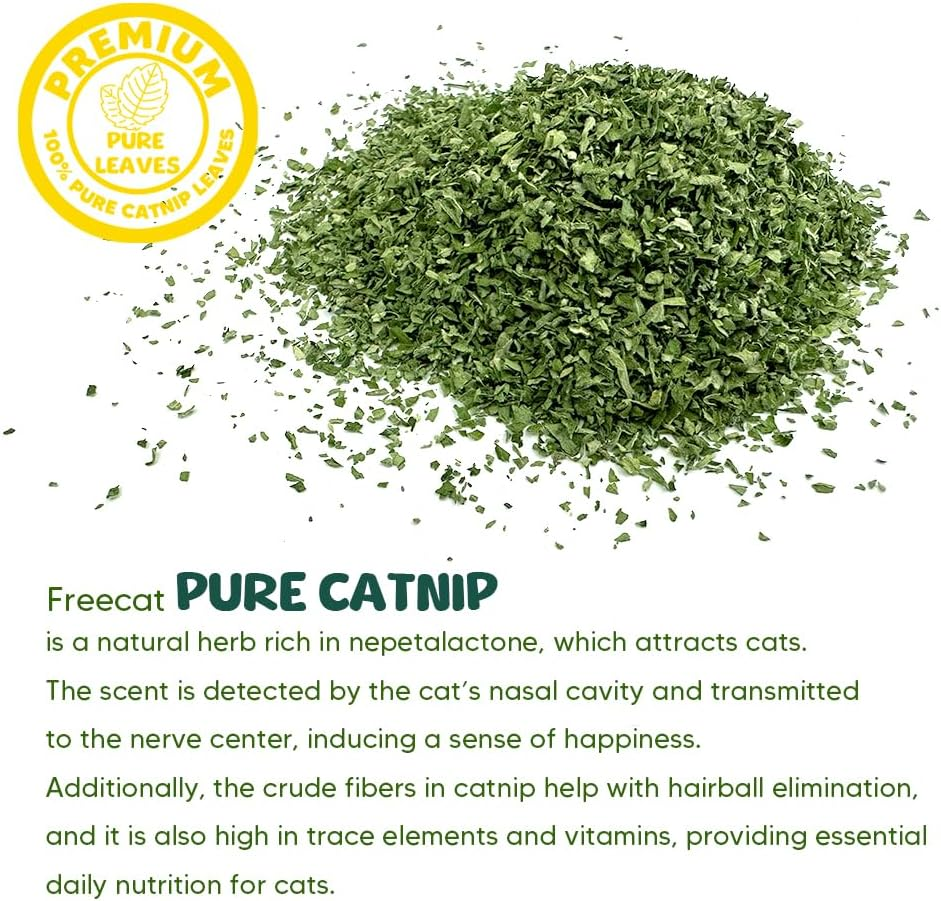 Catnip 15G, Premium Fresh Green Leaves Only, Mental Stimulation, Training, for Cats&Kittens