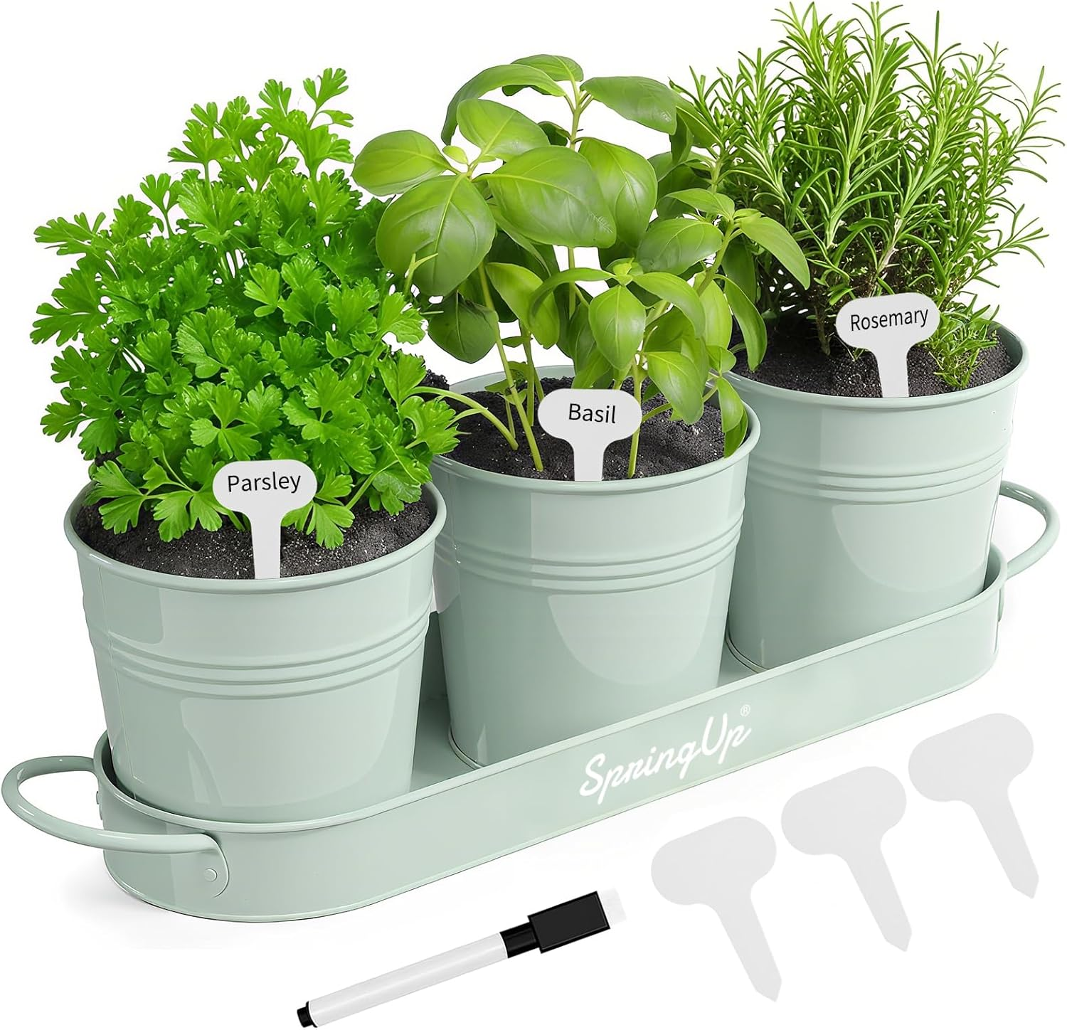 Springup 3 Pack Indoor Herb Garden Planter Set with Tray, Metal Farmhouse Windowsill Plant Pots with Drainage for Outdoor or Indoor Plants (Soft Mint)