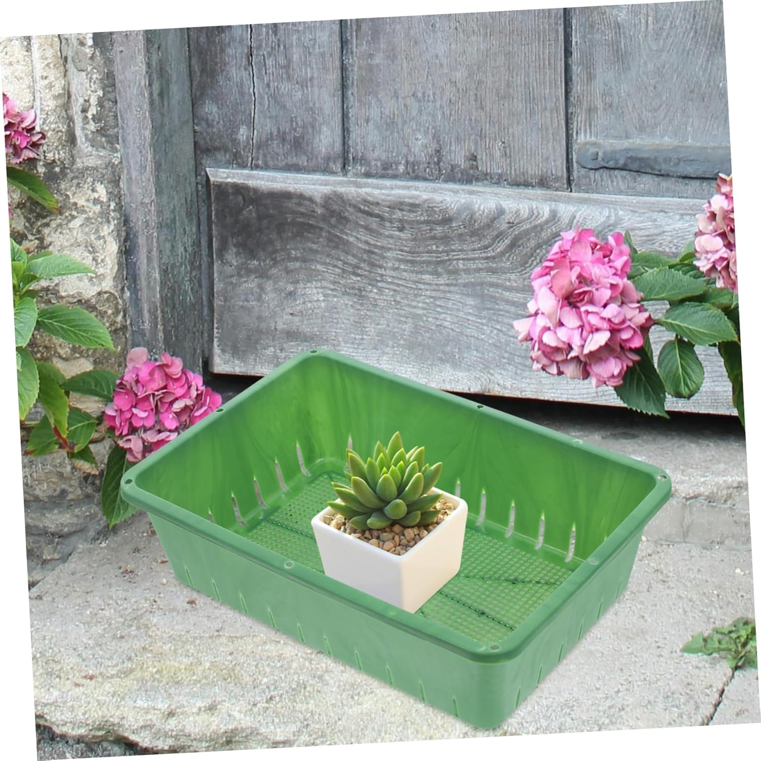 DECOMELODY Seedling Tray Plastic Growing Trays for Indoor Gardening 26X18X7Cm Small Nursery Supply 2Pcs Rectangular Planting Accessory for Seed Germination and Succulent Storage image number 5