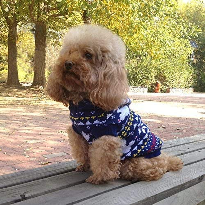 Large-Eye Blunt Needles Yarn Knitting plus Crochet Hooks Set with Case,Ergonomic Handle Crochet Hooks Needles for Arthritic Hands.Best Gift! image number 3