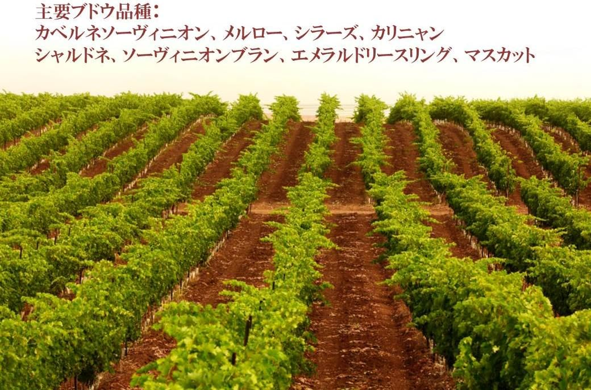 Barkan Classic Merlot 750Ml image number 2