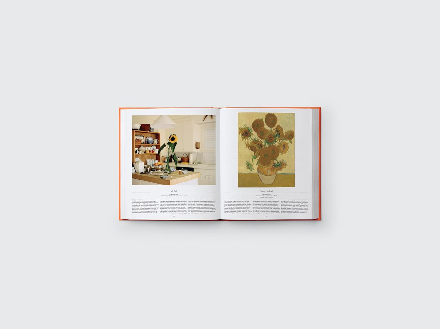 Flower: Exploring the World in Bloom image number 1