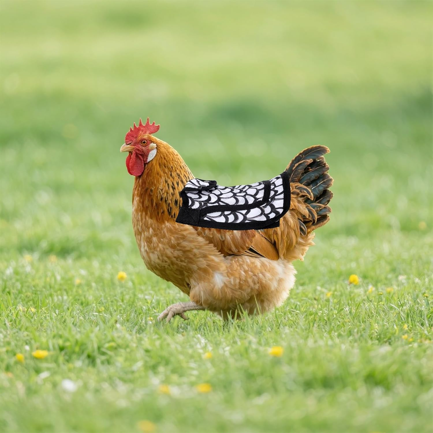 Chicken Saddle for Hens, 7.48 Inch Comfortable Hen Aprons with Adjustable Strap Chicken Back & Side Protector Outdoor Poultry Protective Accessories (Black and White) image number 1