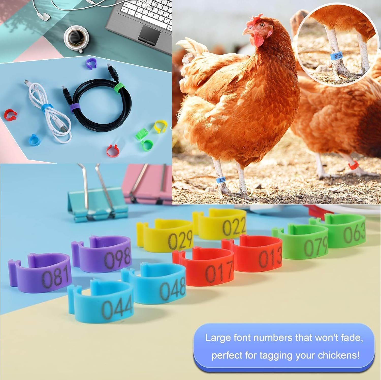 5Colors Chicken Leg Rings 100 PCS Chicken Identification Band 16Mm Colorful Numbered Chicken Tags for Legs, Poultry Leg Bands Clip-On Rings Poultry Identification for Ducks, Chicks, Gamefowl, Turkey image number 4