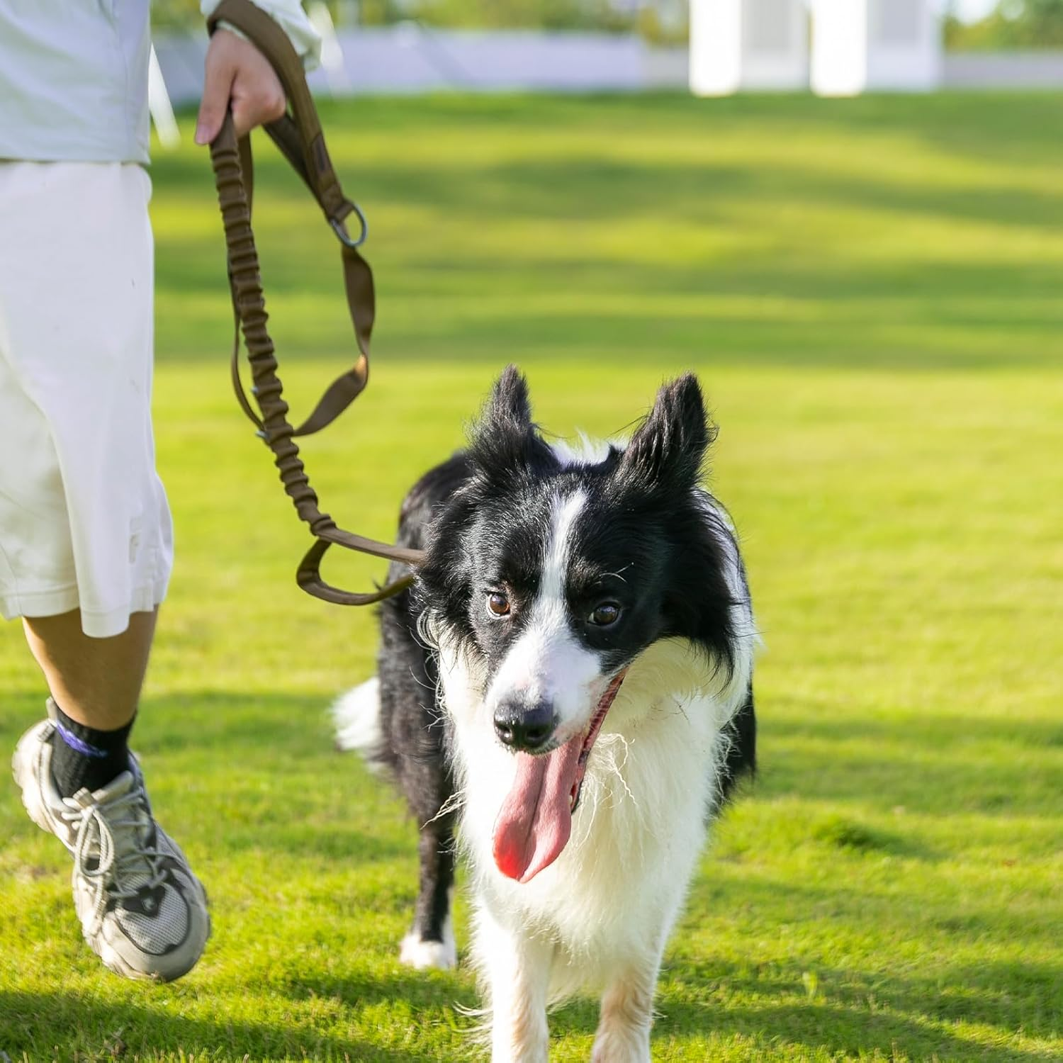 EXCELLENT ELITE SPANKER Tactical Bungee Dog Leash Military Dog Leash Adjustable Tactical Leash Elastic Leads Rope with 2 Control Handle (Grey) - Black image number 6