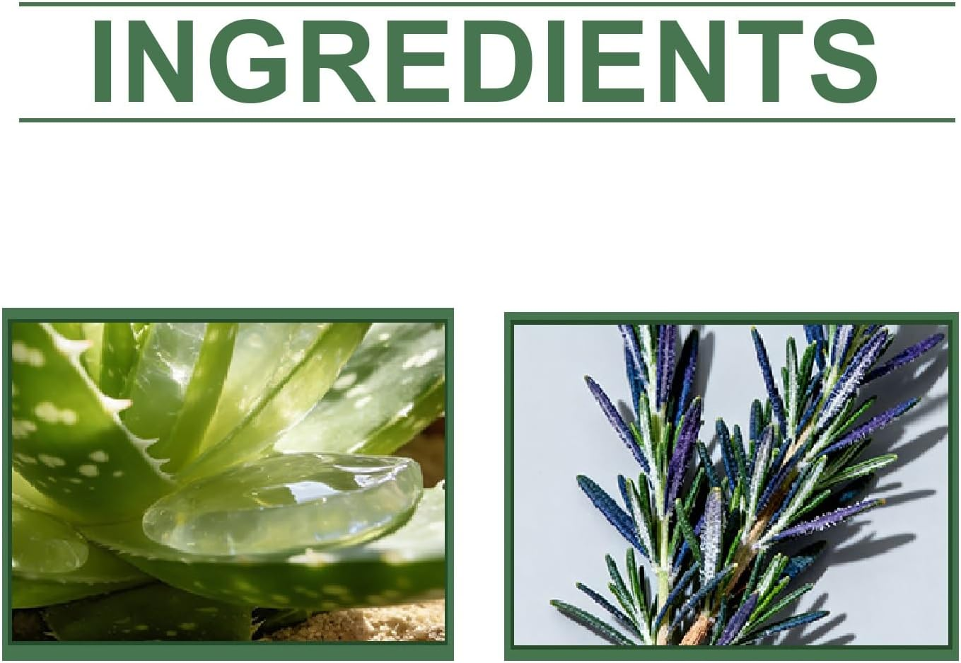 Rosemary Shampoo for Hair Growth, Thickening & Strengthening Shampoo with Hydrolyzed Keratin, Volumizing Shampoos for Thinning Hair, Gentle Scalp Care Shampoos, Fullered Hairs Shampooing. (1PCS) - 1Pcs image number 6