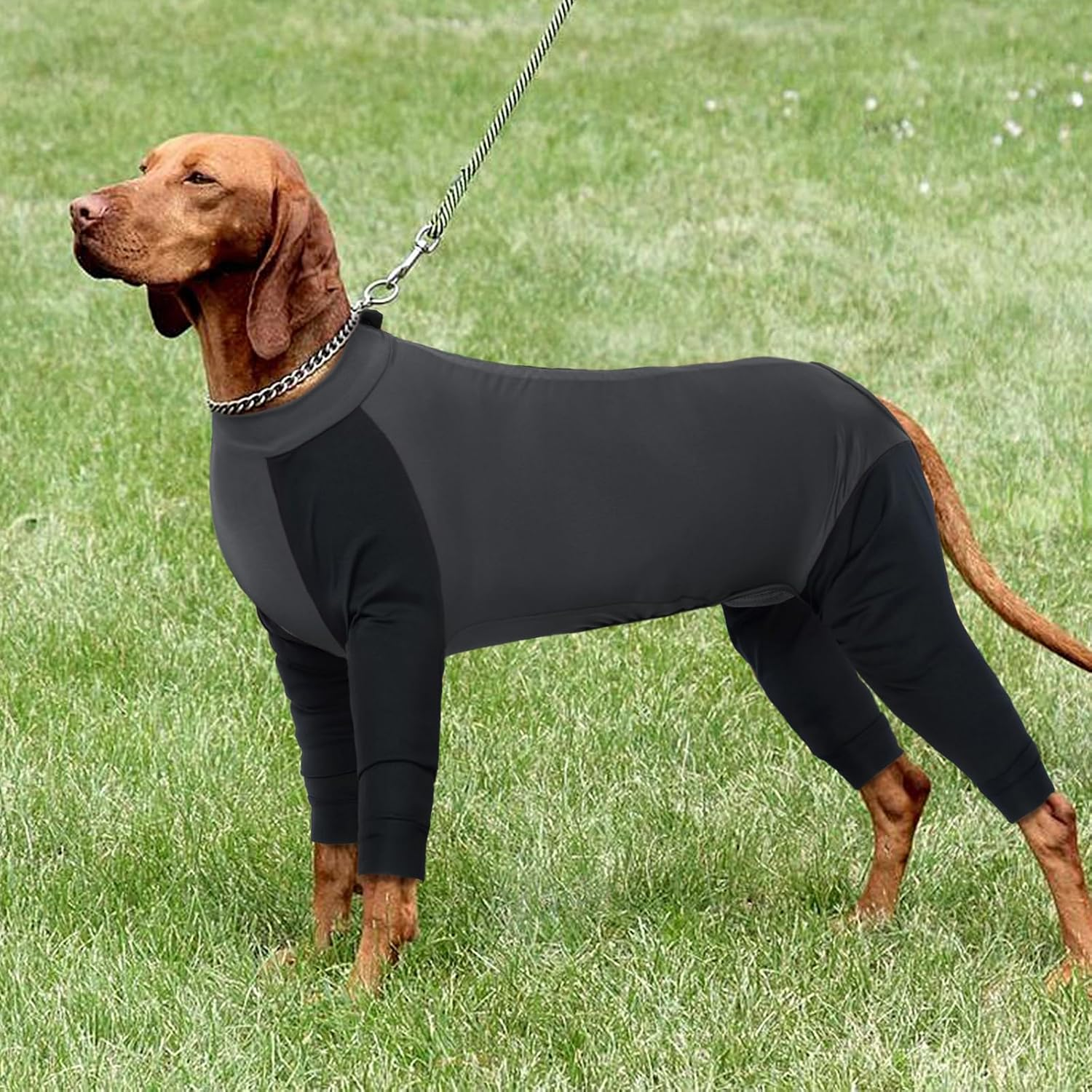 Hjyokuso Dog Pajamas with Zipper, Dog Onesies for Small Medium Large Dogs, Dog Jumpsuit with Legs, Dog Clothes Pjs Nightwear, Dog Leg Surgery Recovery Suit, Dog Sleeve to Prevent Licking Bite -XS-XXL image number 2