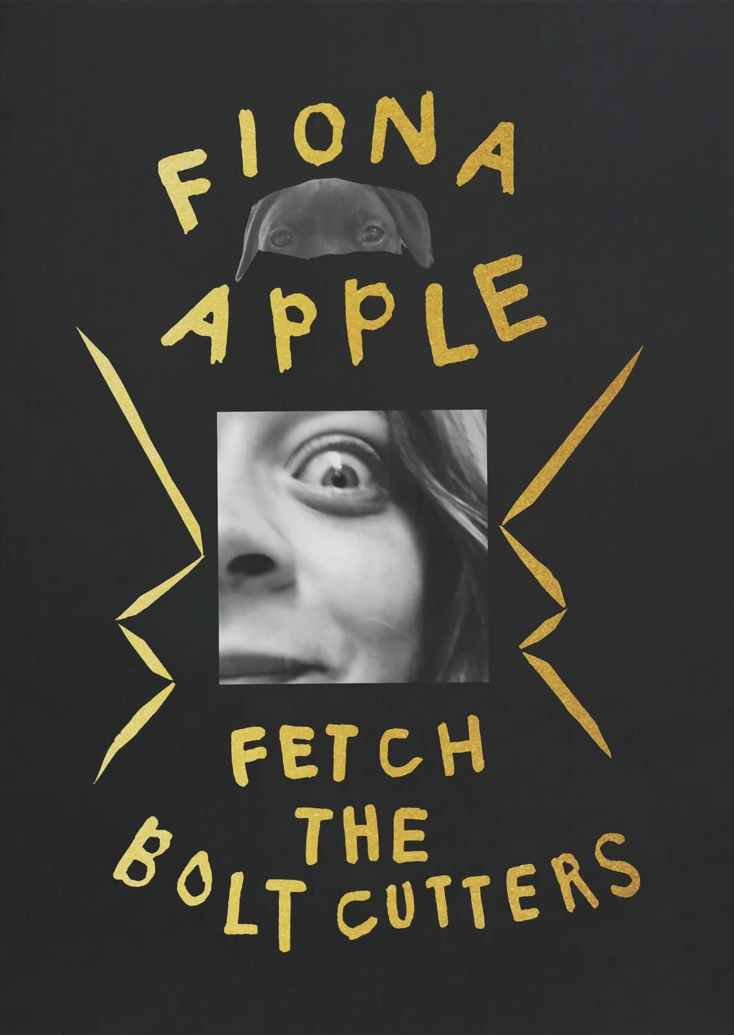 Fetch the Bolt Cutters (Deluxe/Book)