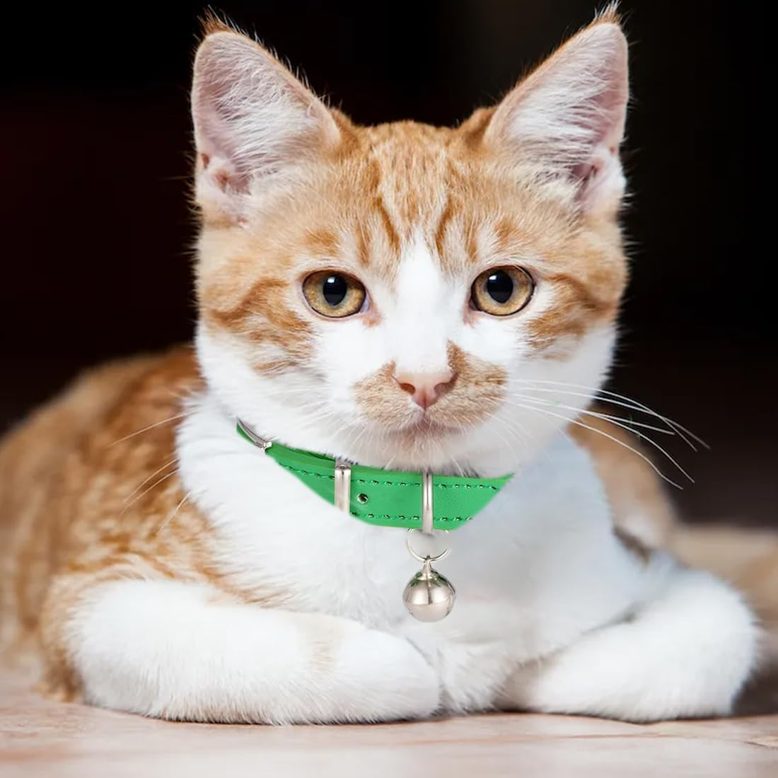 Weddhuis 1 X Leather Cat Collar with Bell with Diamond Star Moon image number 2