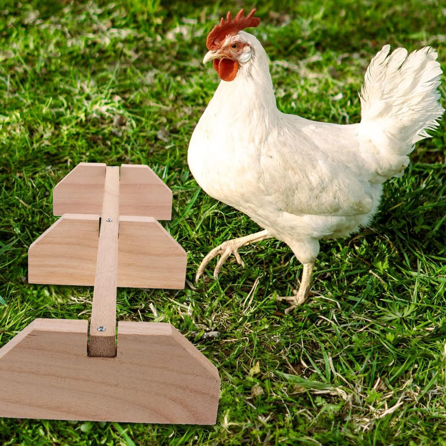 Hen Swing Stand - Strong Wooden Chicken Perch and Parrot Training Rack, Bird Accessories and Toys with Solid Wood Stick