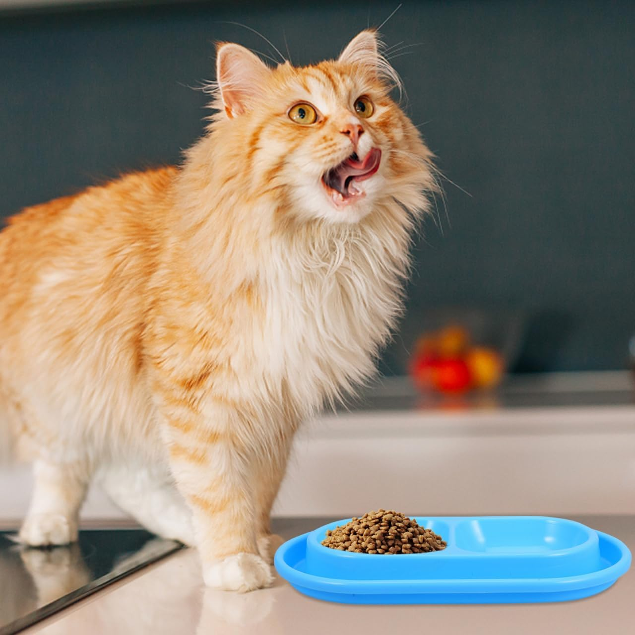 Kisangel -Ant Cat Bowl Cat Food Bowl Pet Food Bowl Cat Water Fountain Cat Water Bowl Small Flat Pet Dish Ant Away Cat Bowls Food Water Bowls Dish Away Dog Bowls Kitten Dish Pp Blue