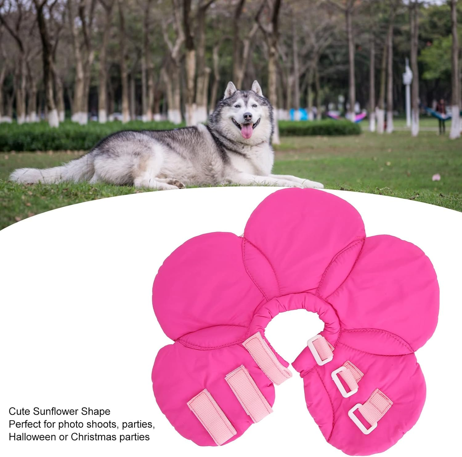 Pet Recovery Collar, Lightweight Sunflower Shape Cute Dog Elizabeth Collar, Adjustable Soft Cat Cone Collar Pet Sponge Neck Collars for Dogs and Cats (YLSB08 Purple)