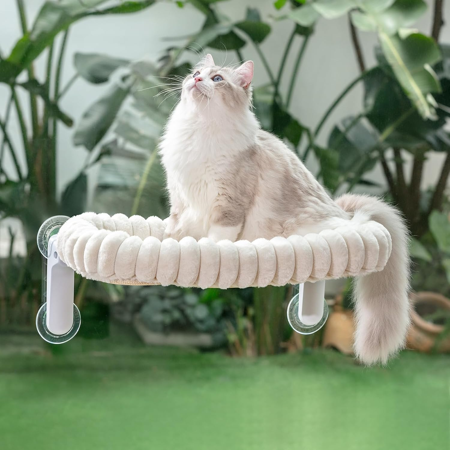 Sunhoo Cat Window Perch Bed Foldable Kitty Windowsill Hammock Shelf Seat Large Cats Suction Cup Indoor Kitten Window Sill Lounger with Soft Plush Cushion Machine Washable 21.26 * 11.8In (White, M) image number 6